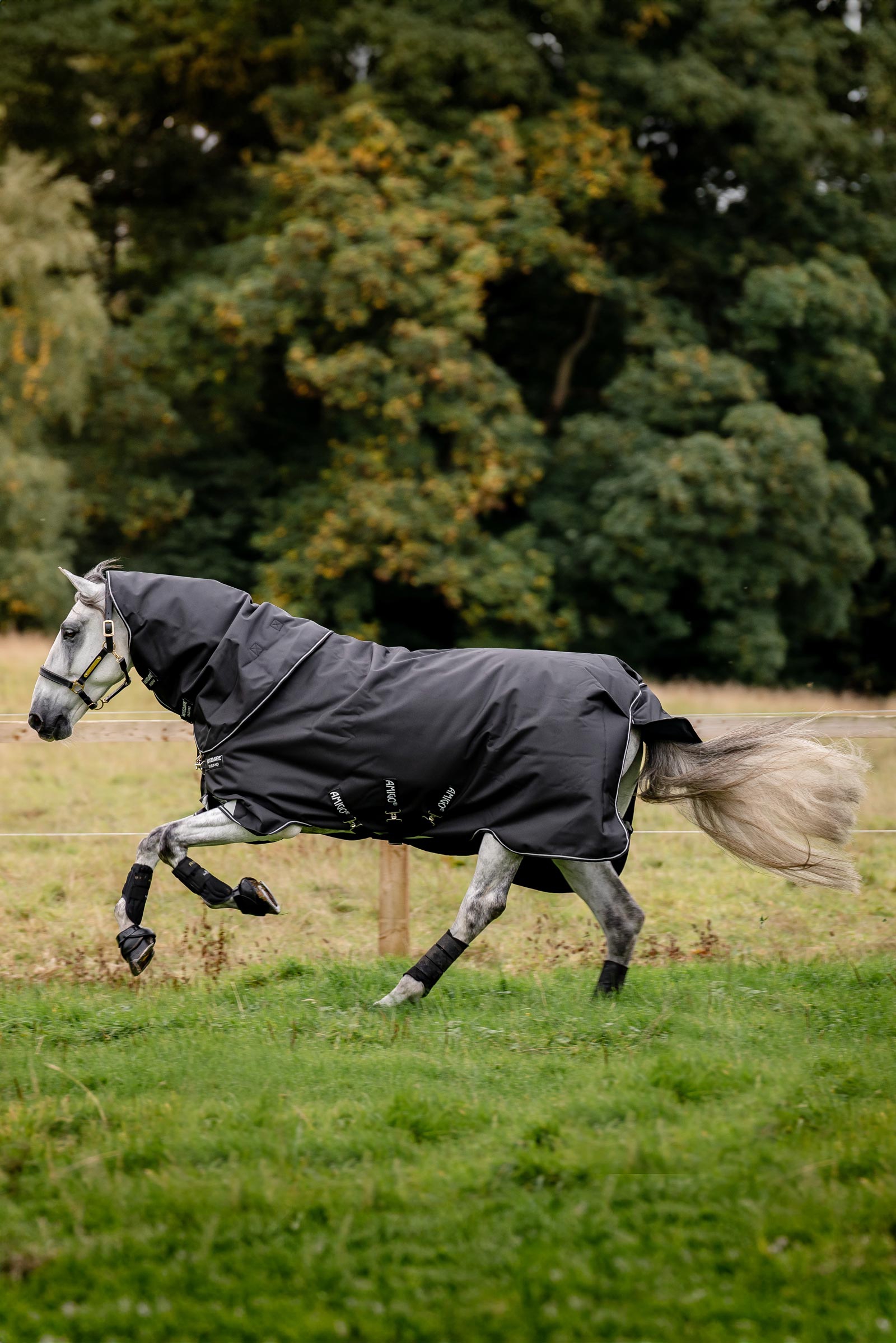 Horseware Amigo Super Bravo Plus buitendeken met afneembaar halsteil, 250 g