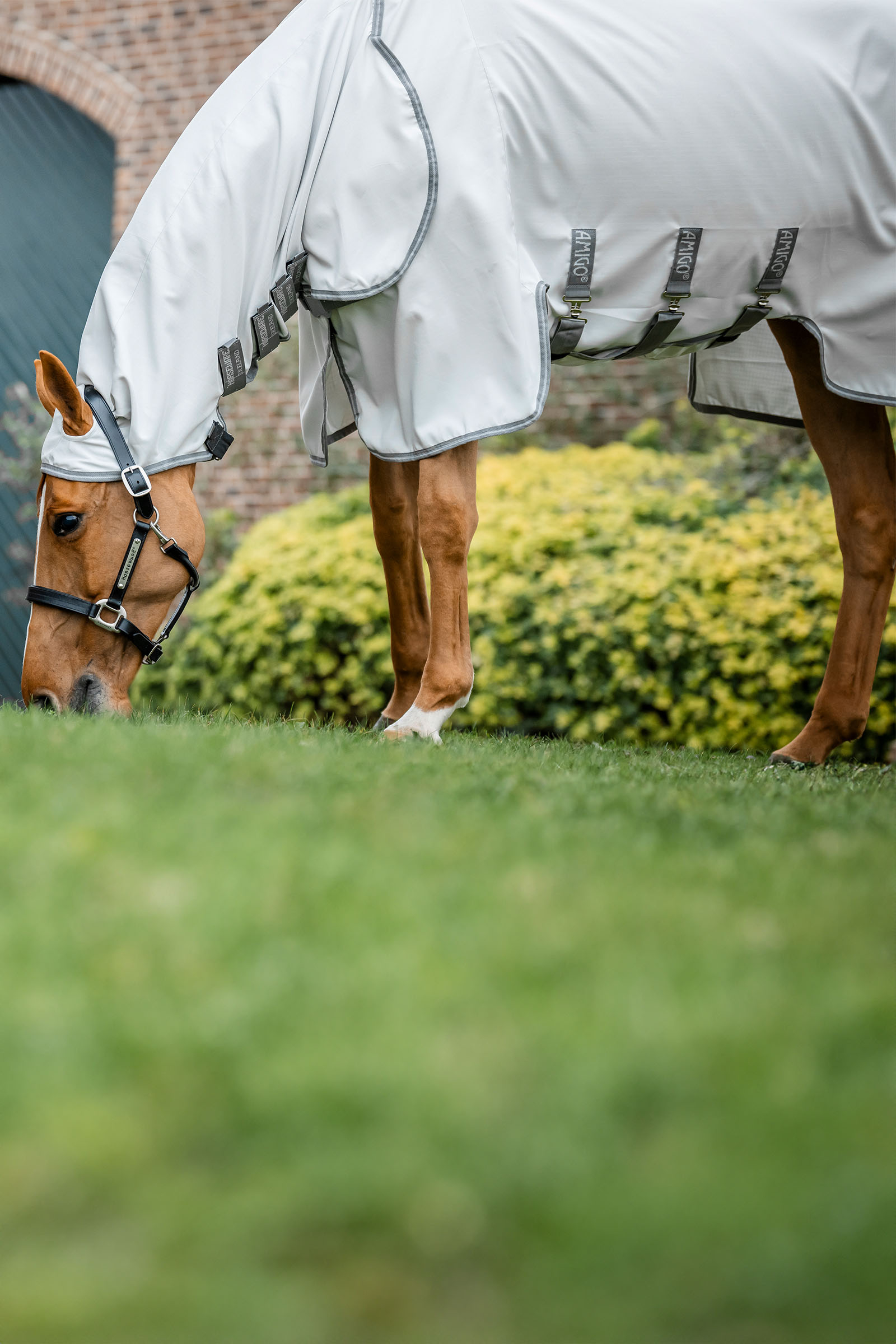 Horseware Amigo Ripstop Vliegendeken