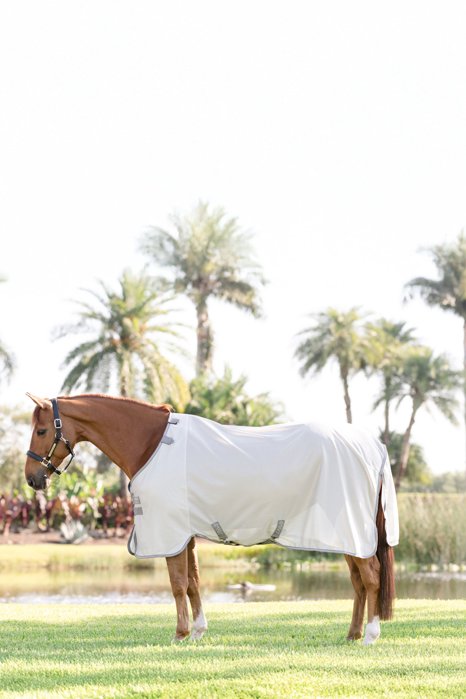 Horseware Amigo vliegendeken met UV-bescherming