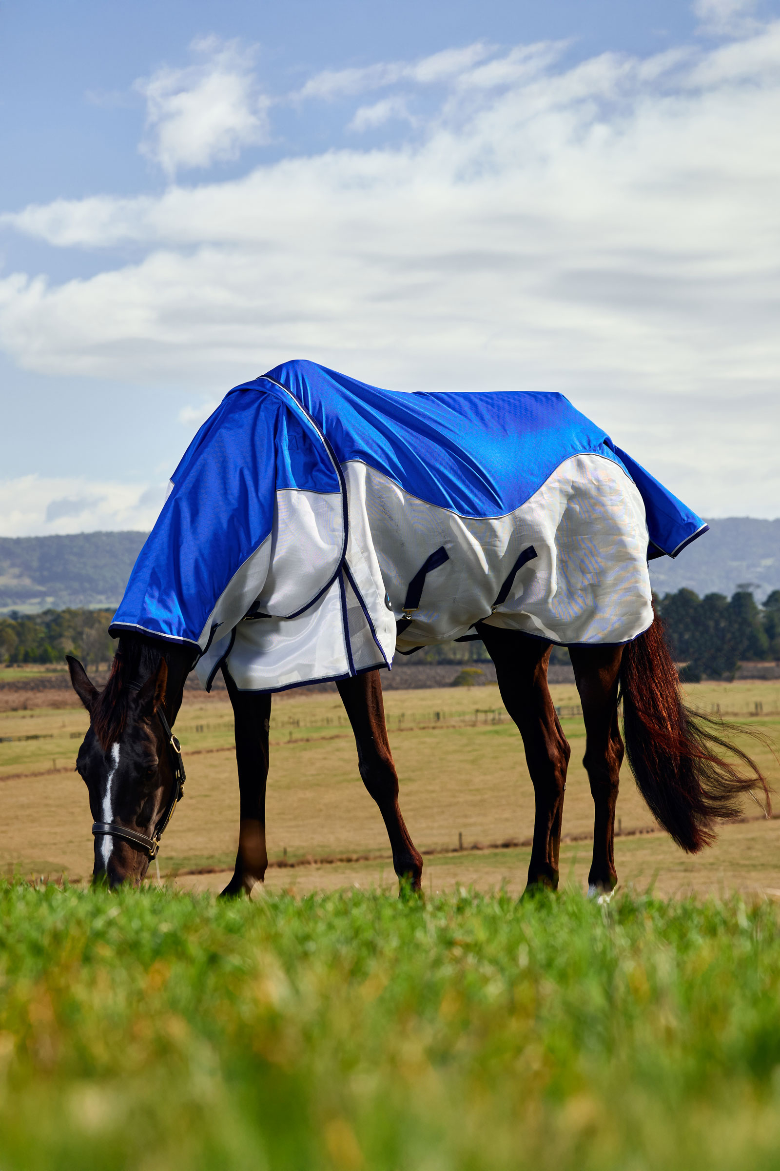 Weatherbeeta ComFiTec Duo Shield Outdoor deken met afneembare hals, 0 g  