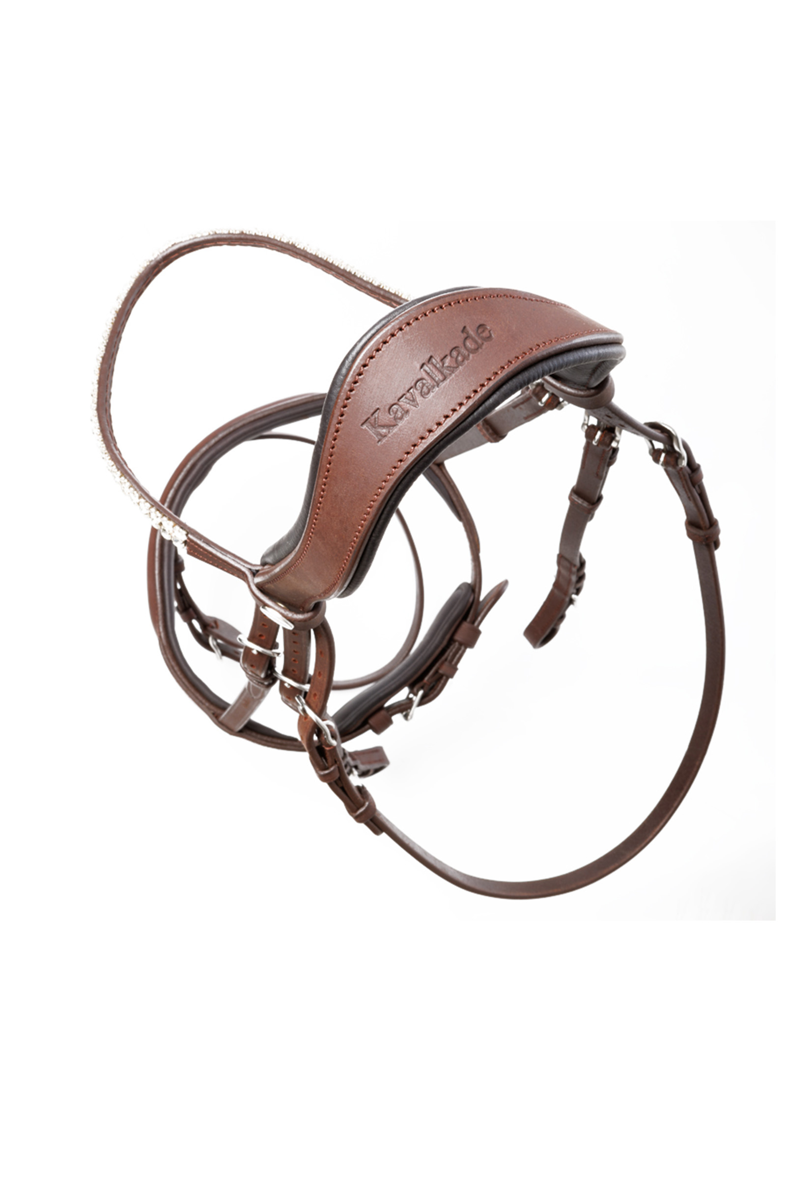 Kavalkade Everness Bridle