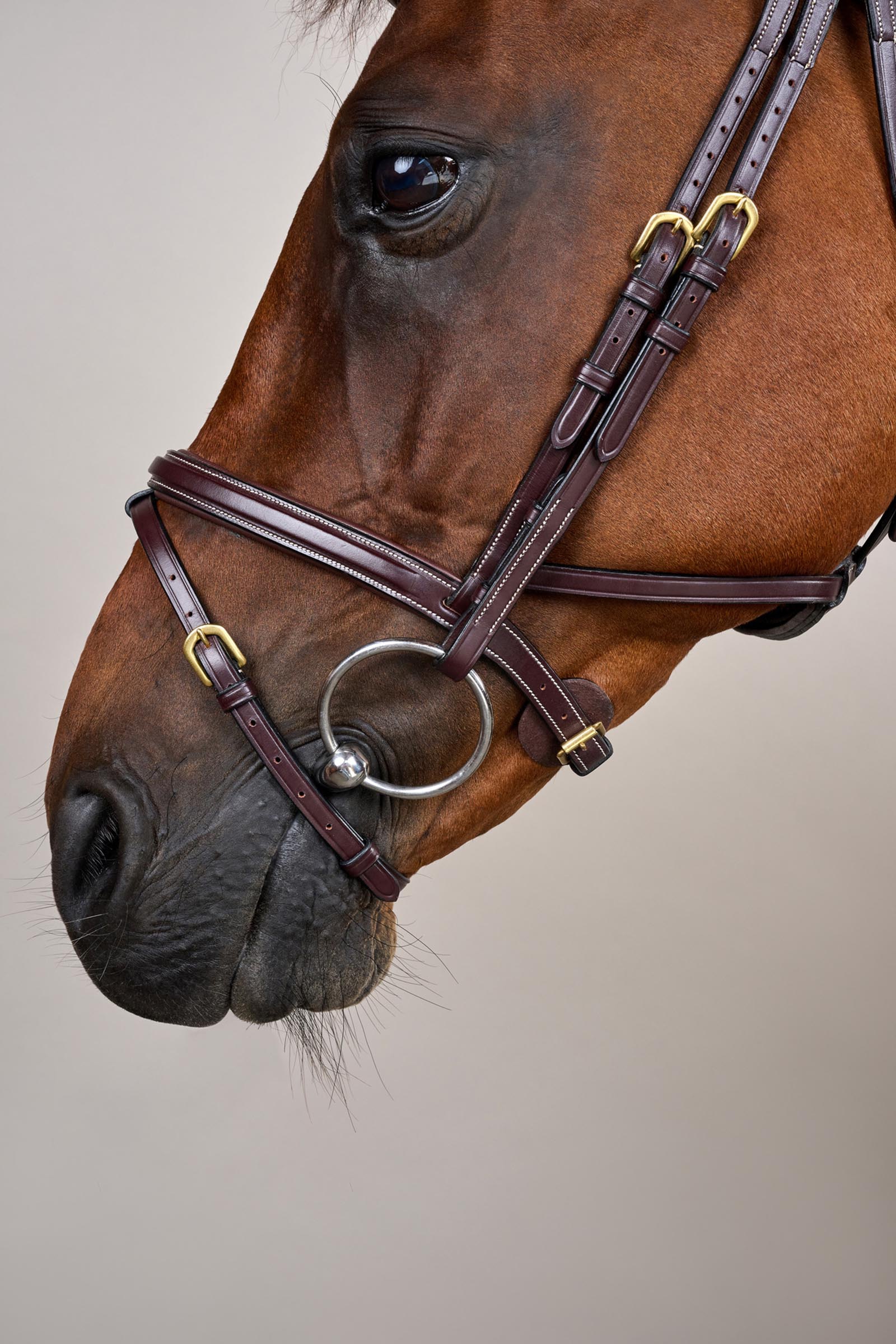 Dy'on D-Collection Difference hoofdstel  