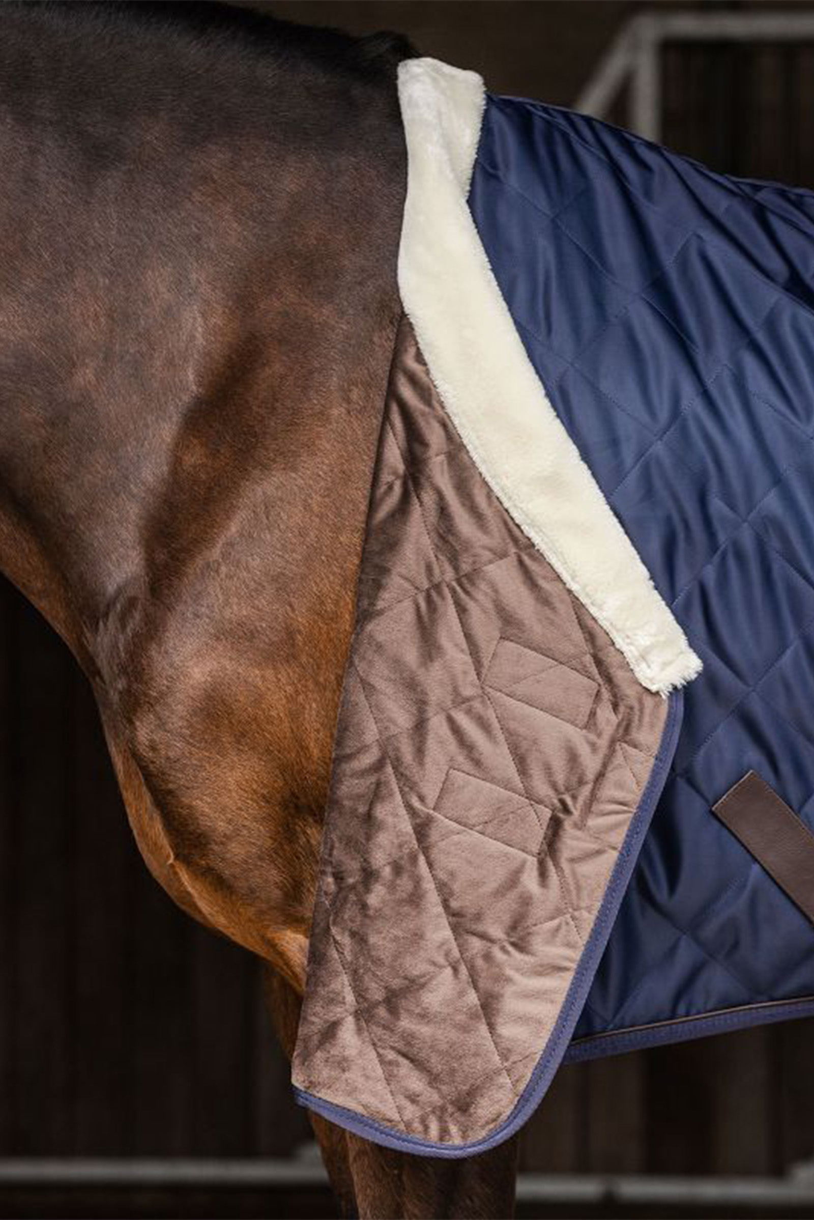 Waldhausen Exclusive Reisdeken, 50g