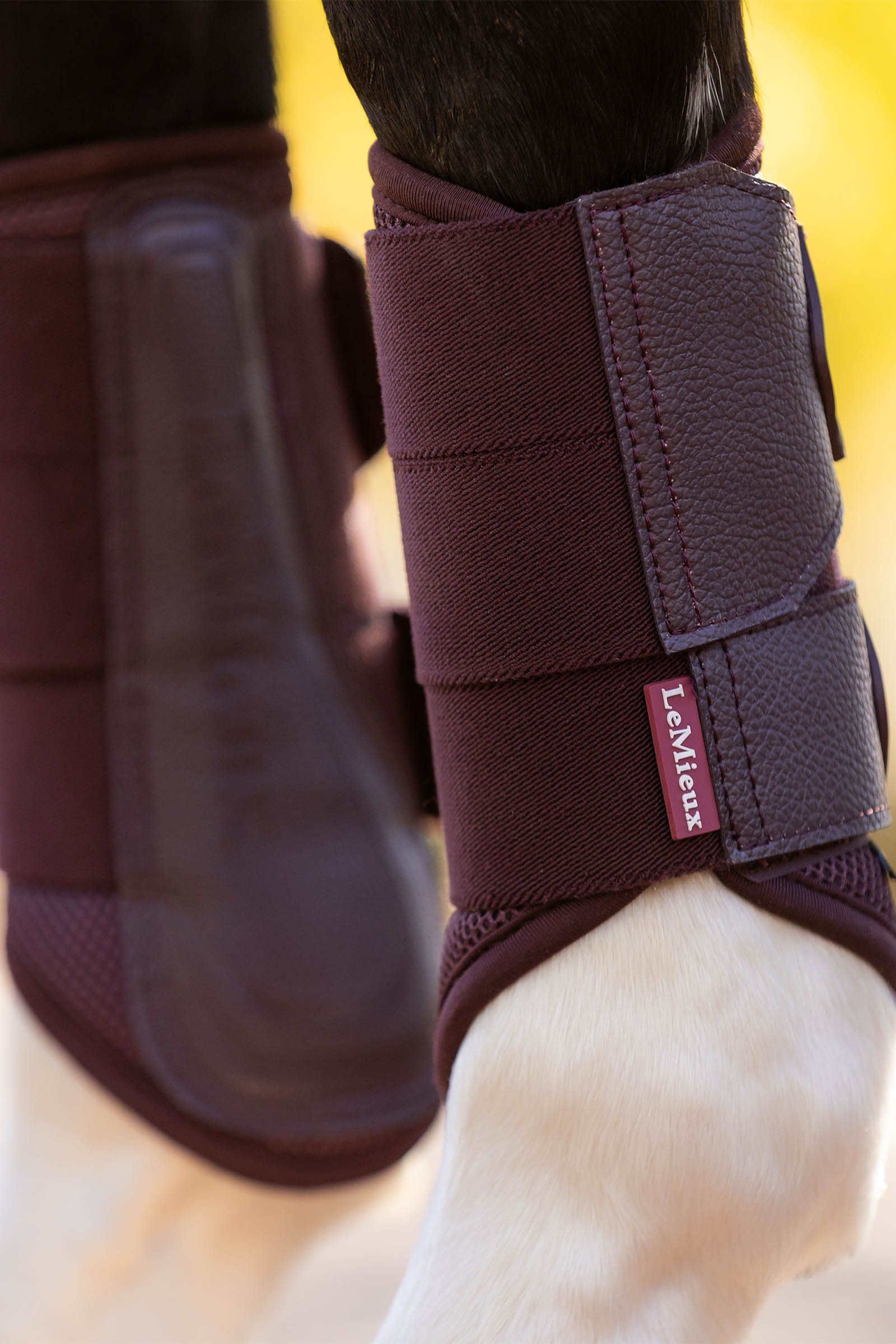 LeMieux Arika Mesh peesbeschermers