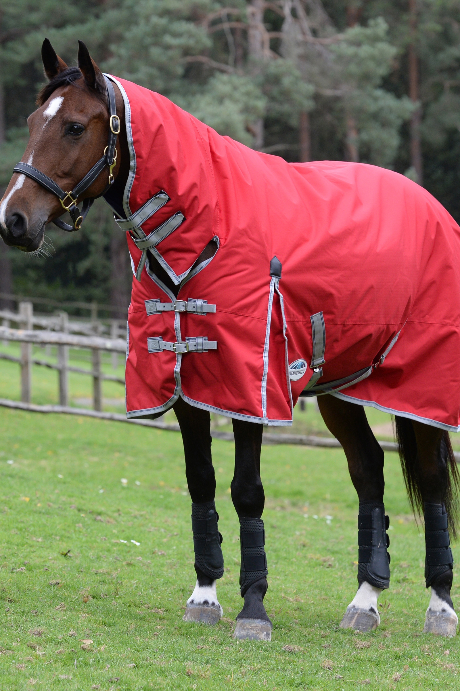 Weatherbeeta Comfitec Classic Deken met geïntegreerde hals, 50g