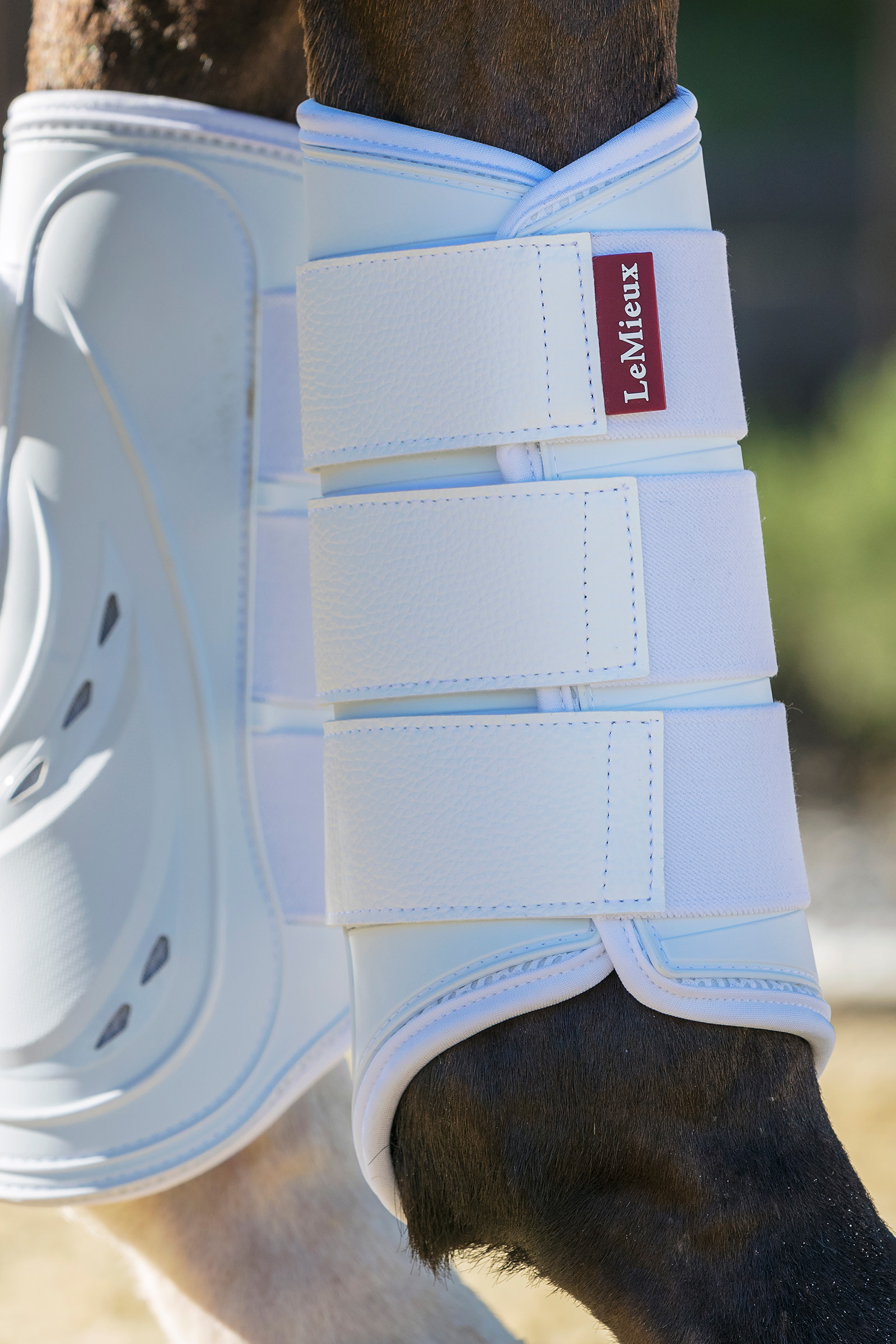 LeMieux ProShell Pijpkousen