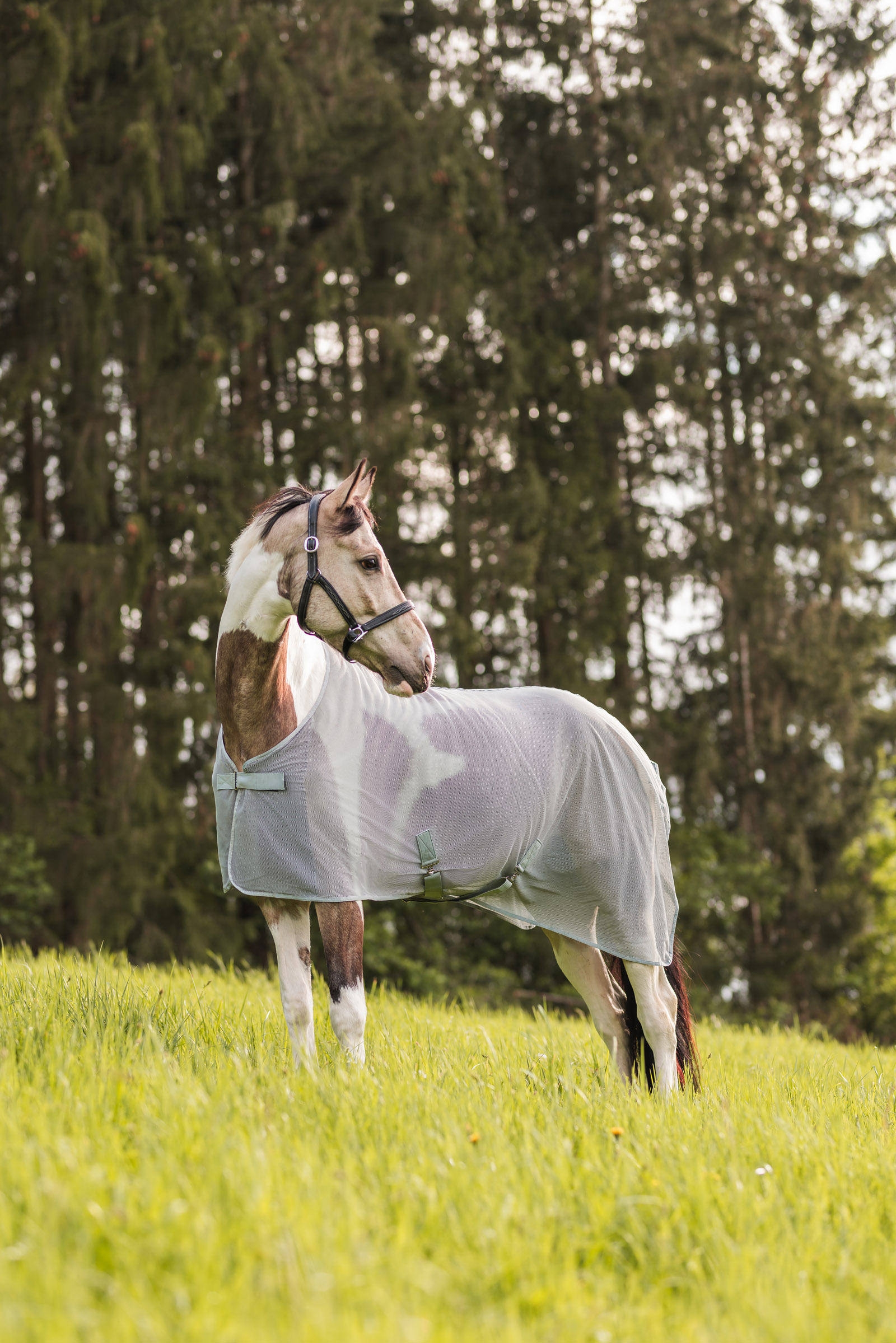 Horze Orleans Vliegendeken