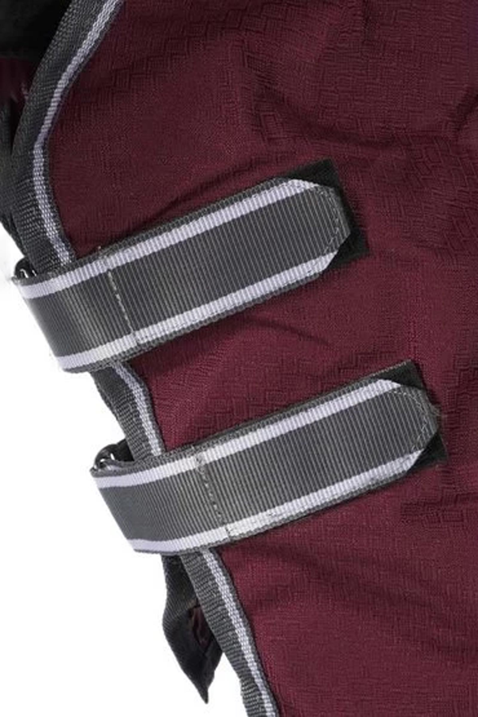 Weatherbeeta Comfitec Plus Dynamic II outdoordeken met afneembaar halsdeel, 100 g