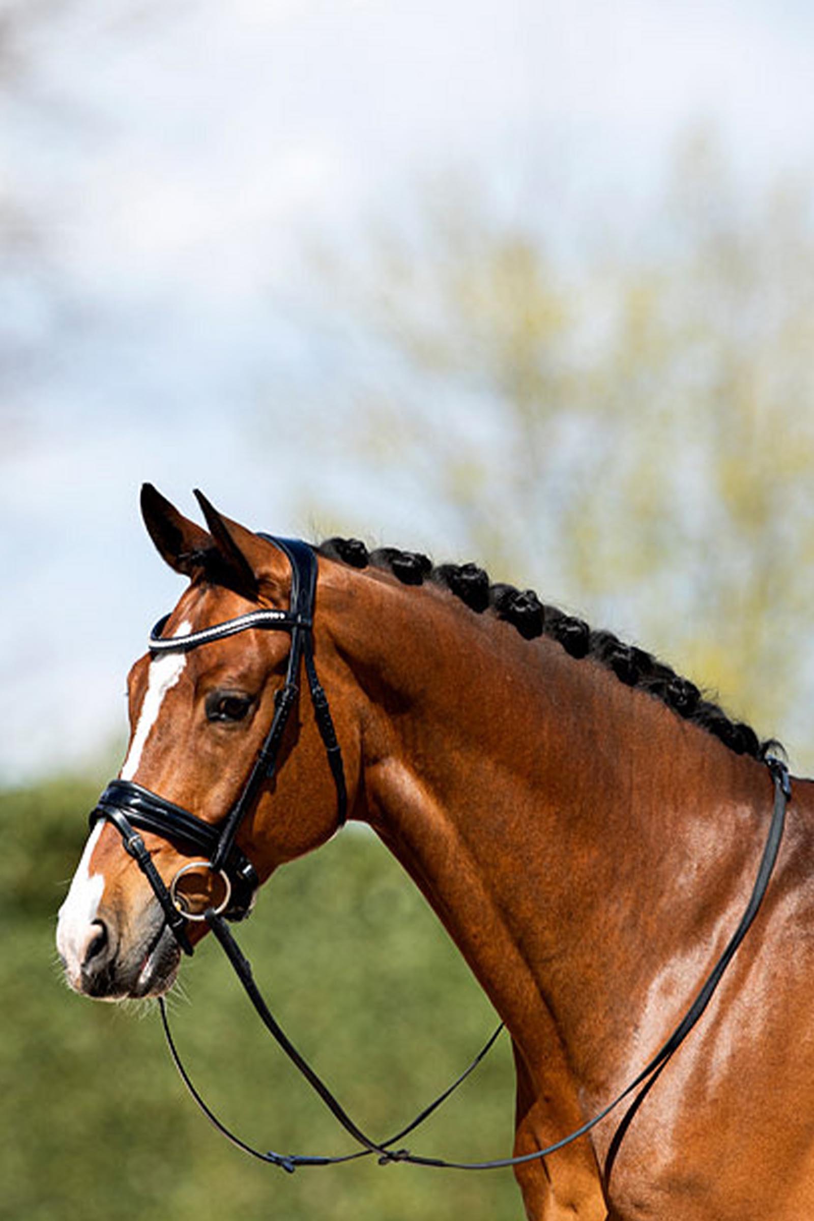 ANKY Anatomic Hoofdstel van Lakleer met Zachte Vulling