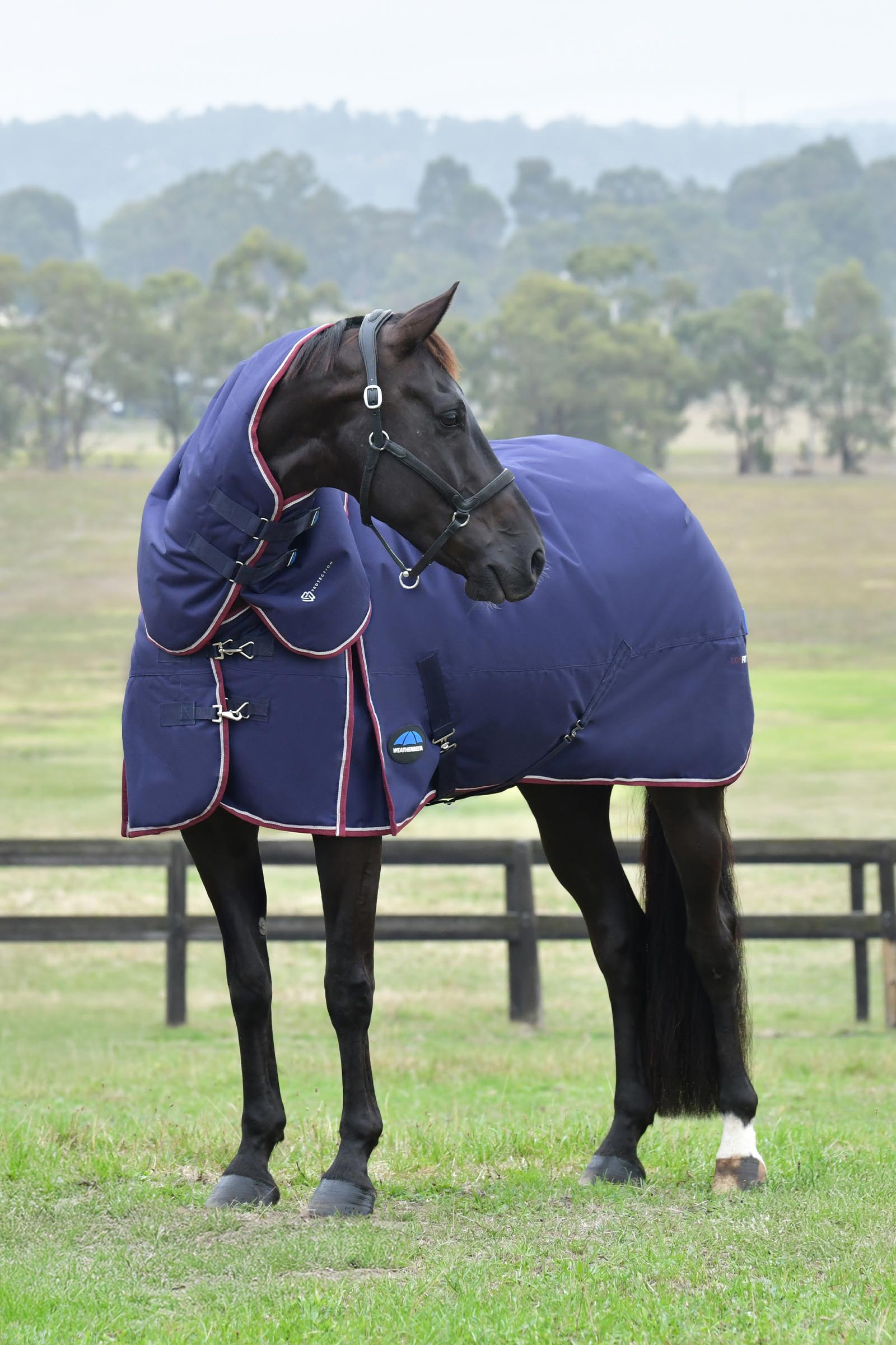 Weatherbeeta ComFiTec Essential Outdoor deken met afneembare hals, 50 g  