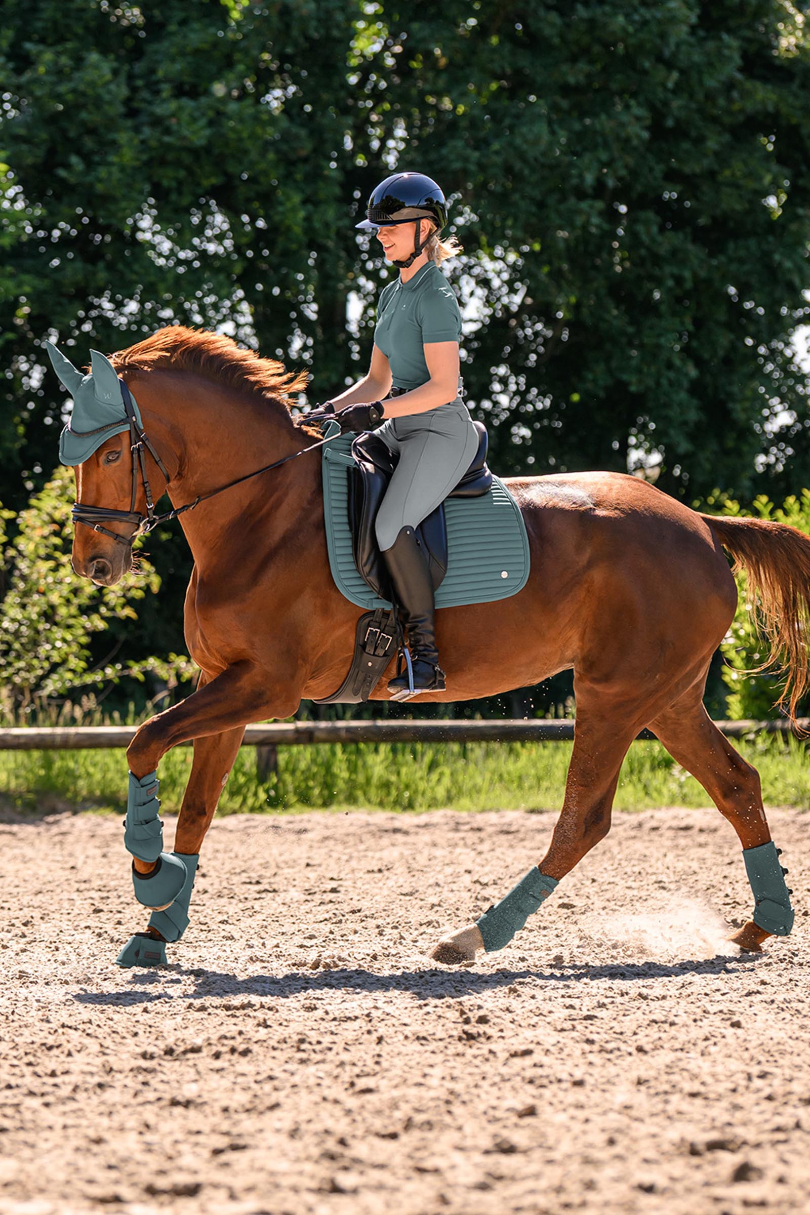 Waldhausen Performance vliegenoren