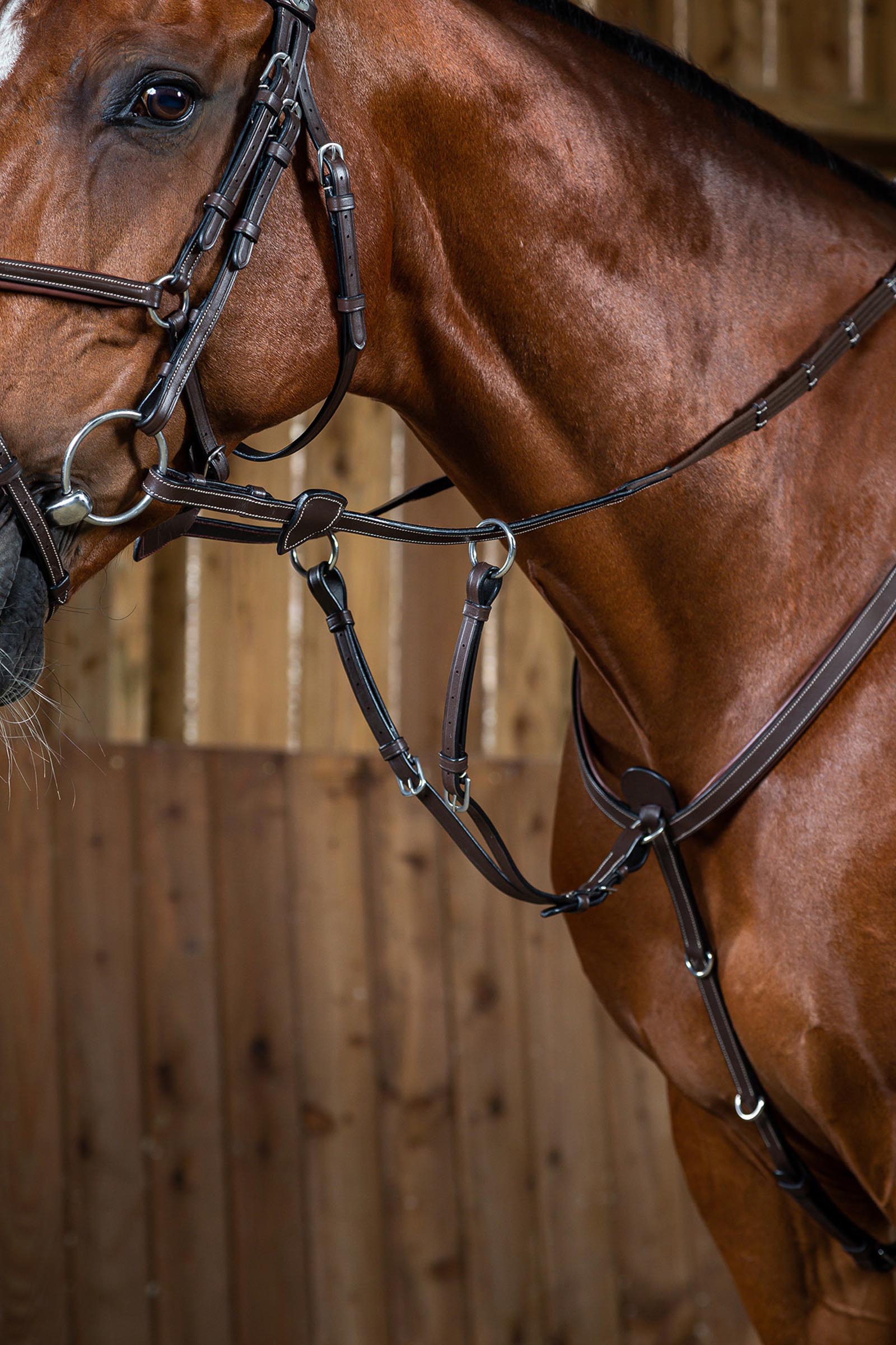 Dy'on Working martingaalstuk