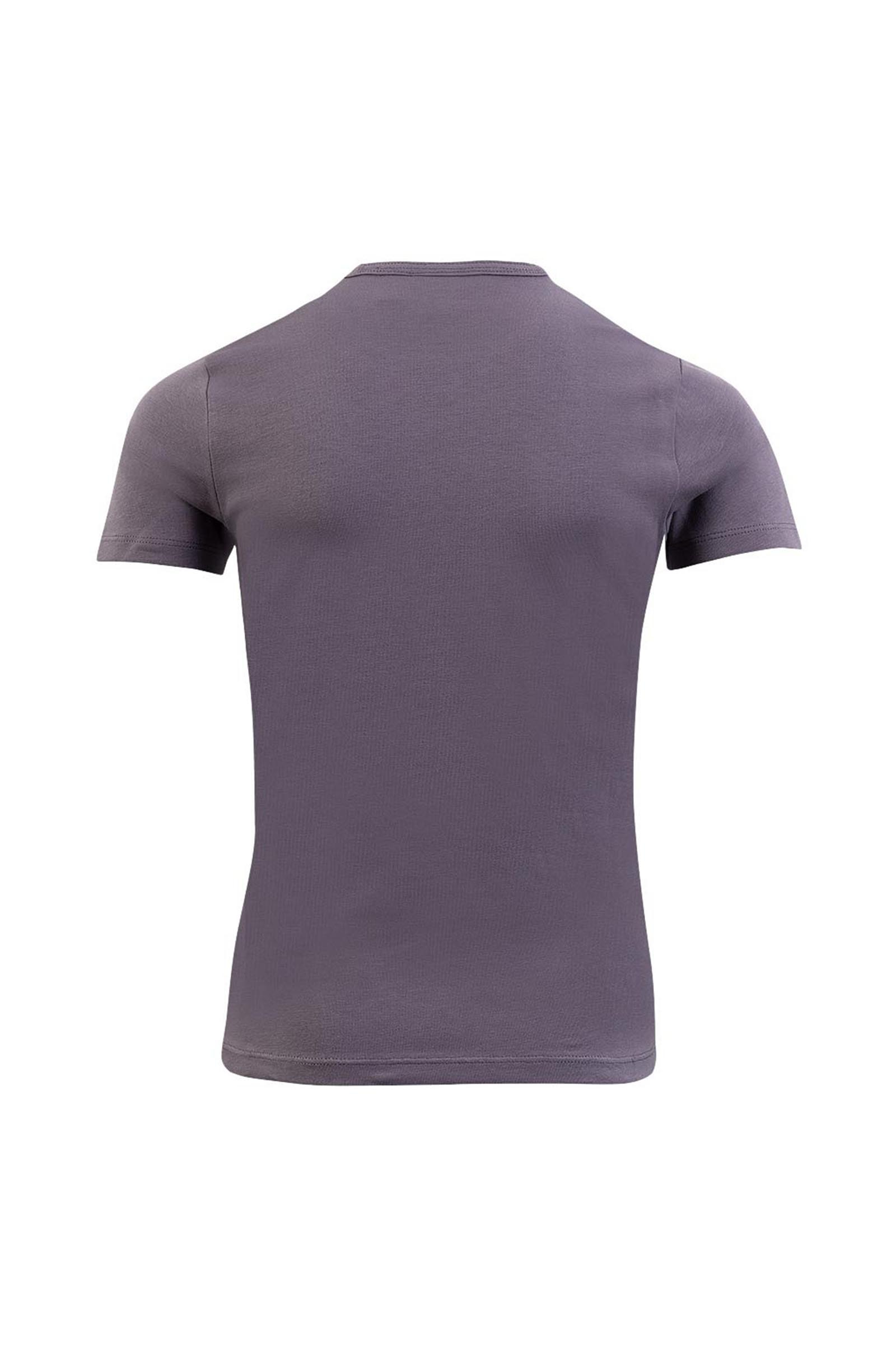 BR Mini Horse kids T shirt