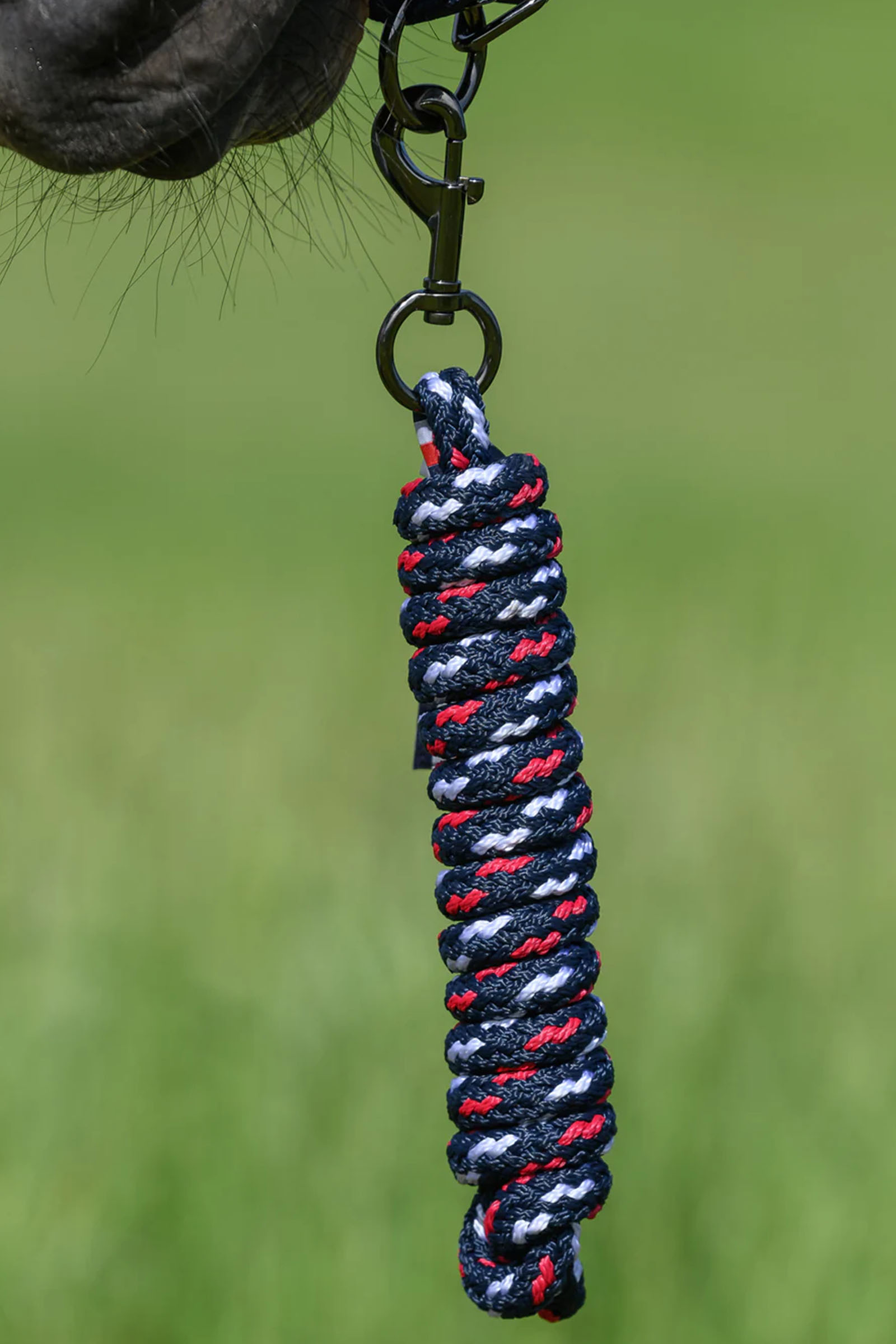 Tommy Hilfiger Equestrian Yale halster- en halstertouwset