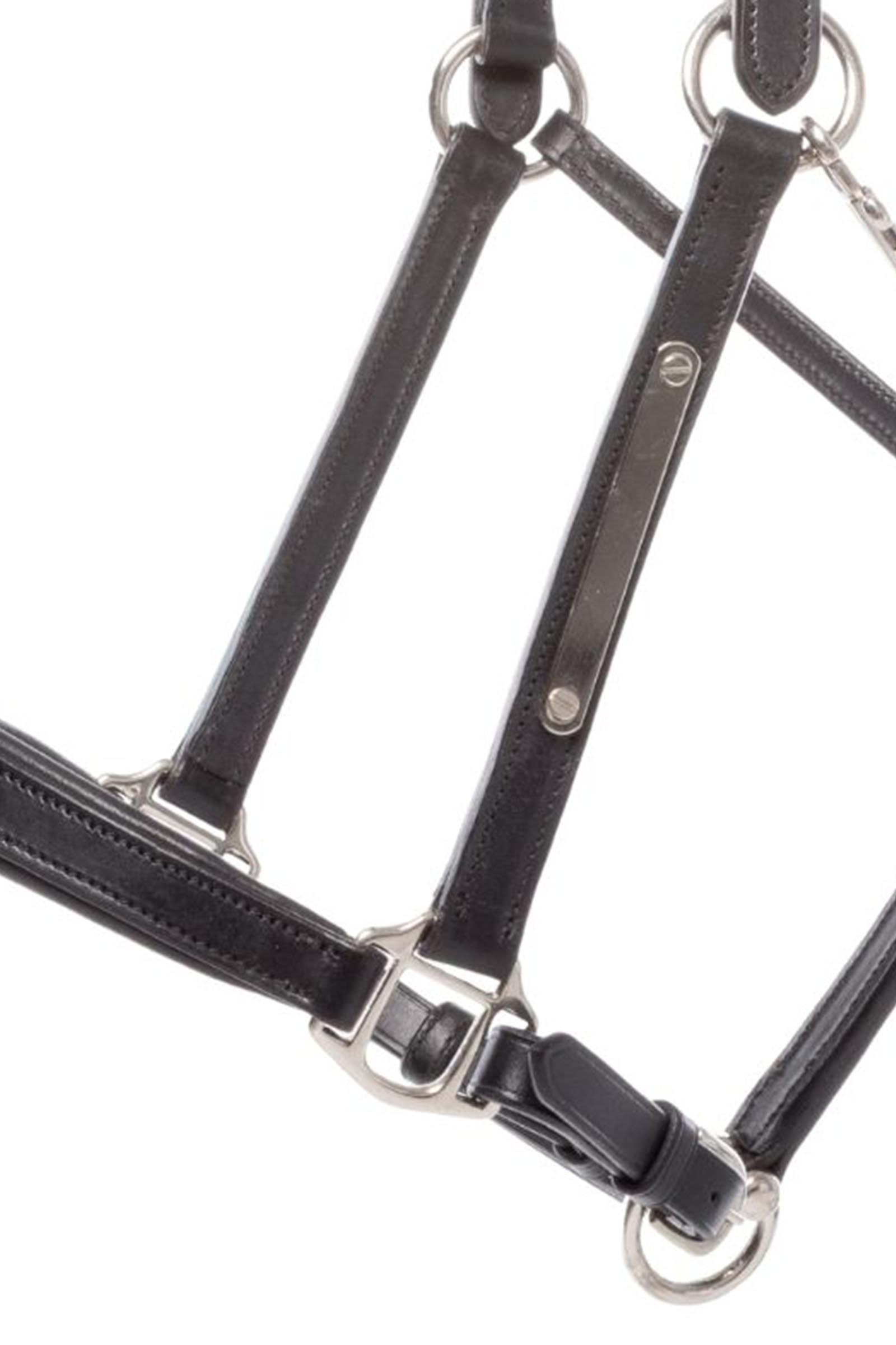 Kavalkade Bennet leren halster