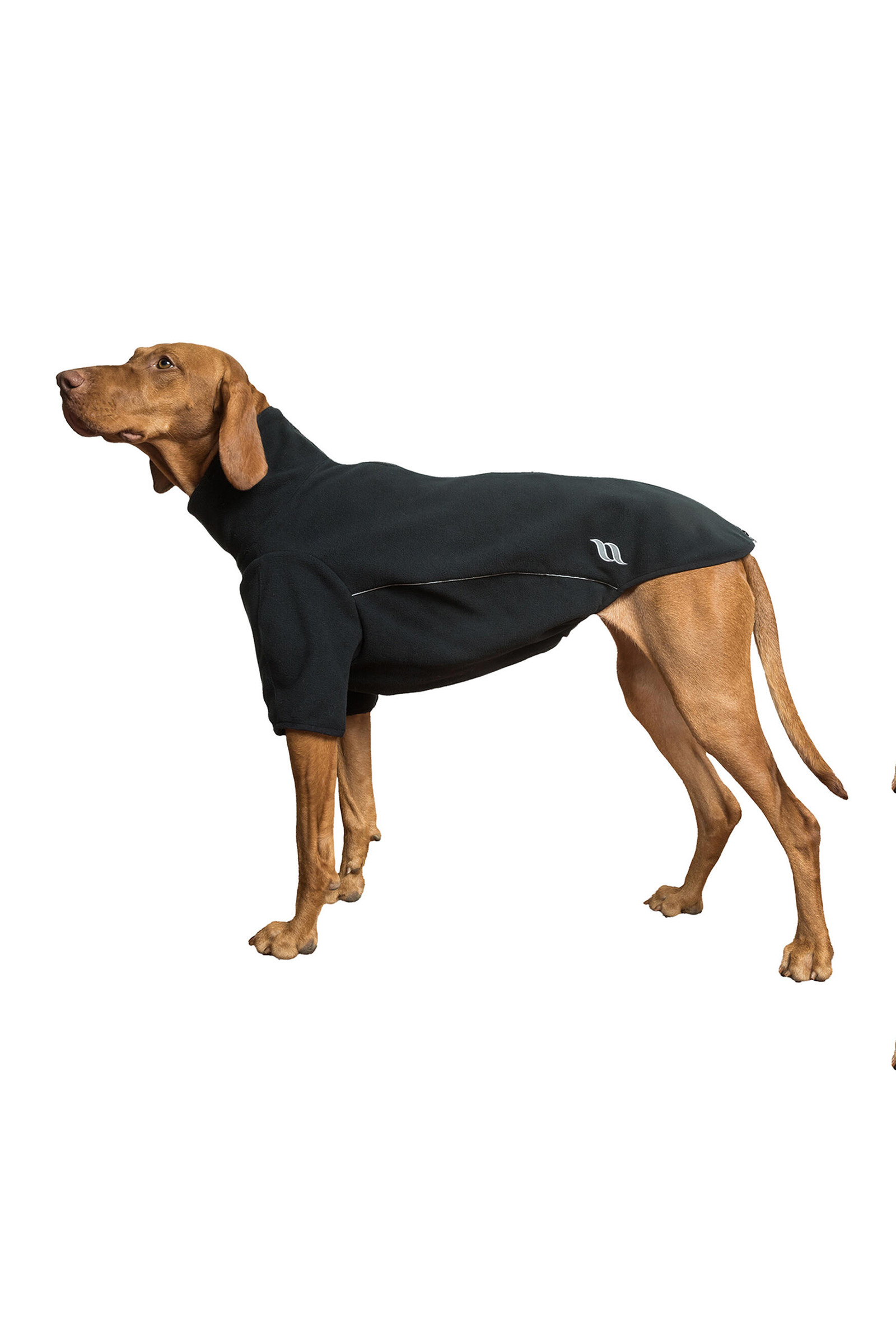 Back on Track Cassie All-Weather Jumper, 55-60 cm