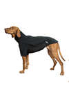 Back on Track Cassie All-Weather Jumper, 55-60 cm