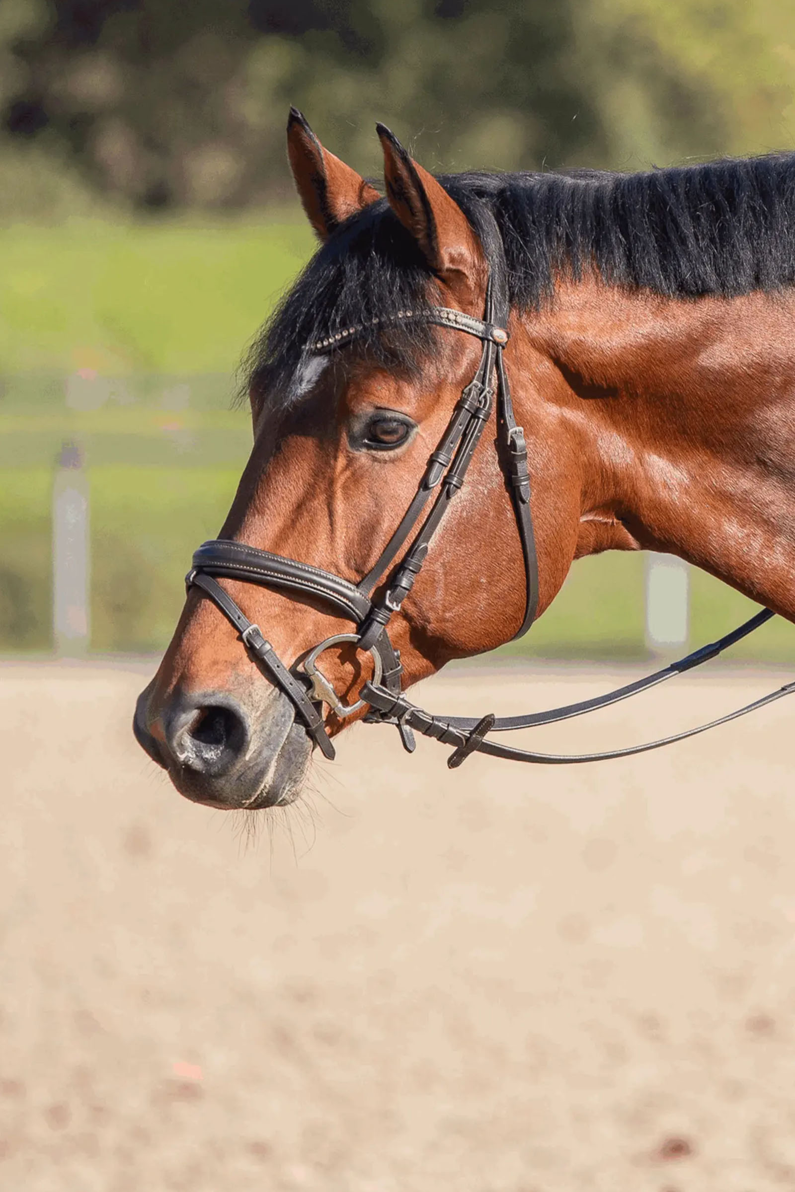 Sprenger Novocontact olijfkopbit D-ringen, enkel gebroken, 14 mm, Sensogan