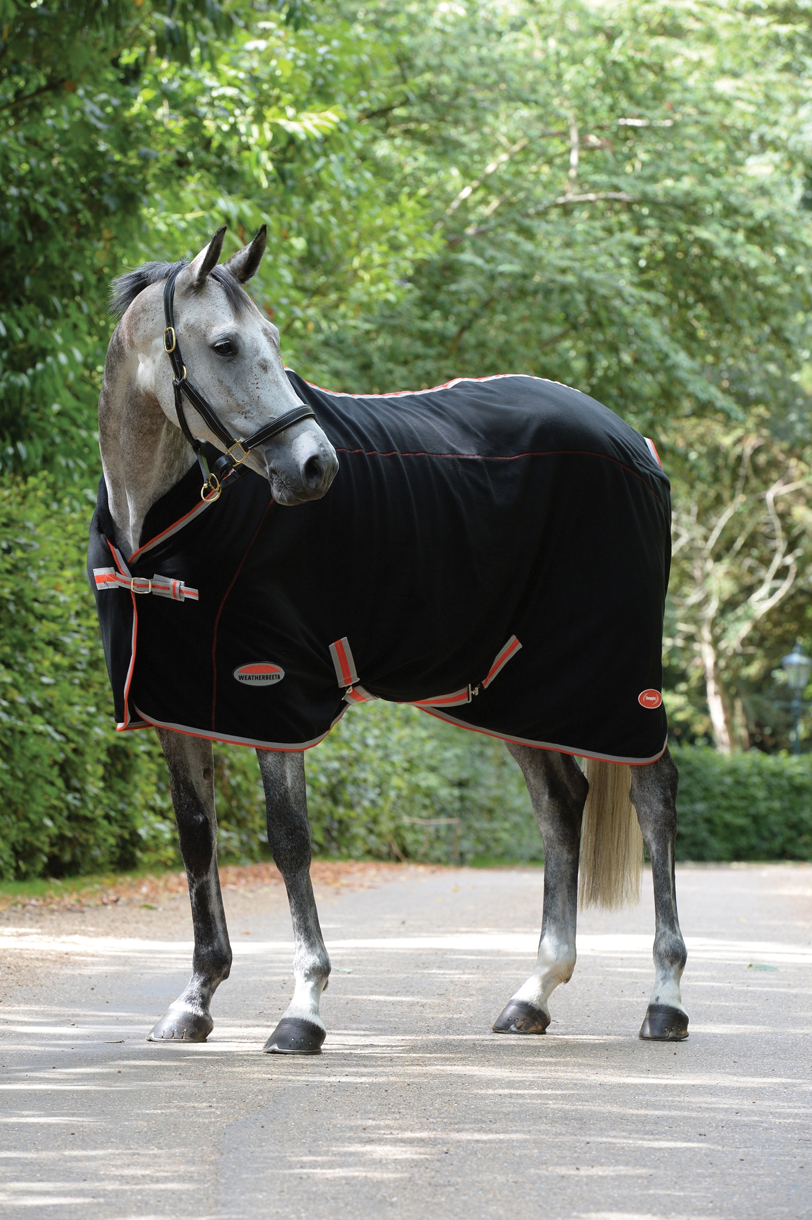 Weatherbeeta Therapy-Tec Standaard Hals