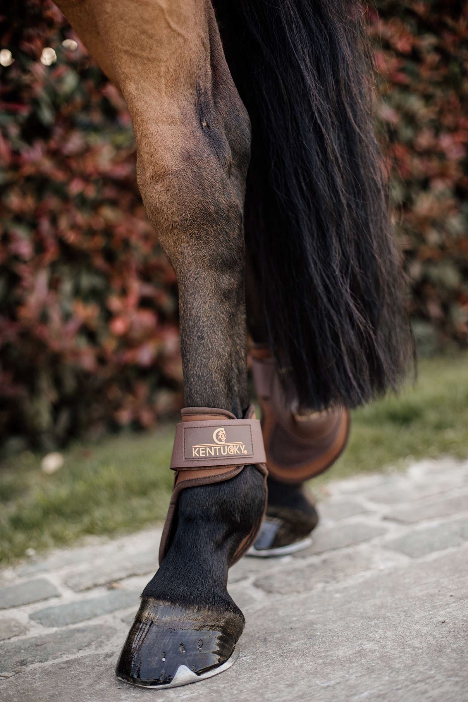 Kentucky Horsewear Kogelbeschermer Deep