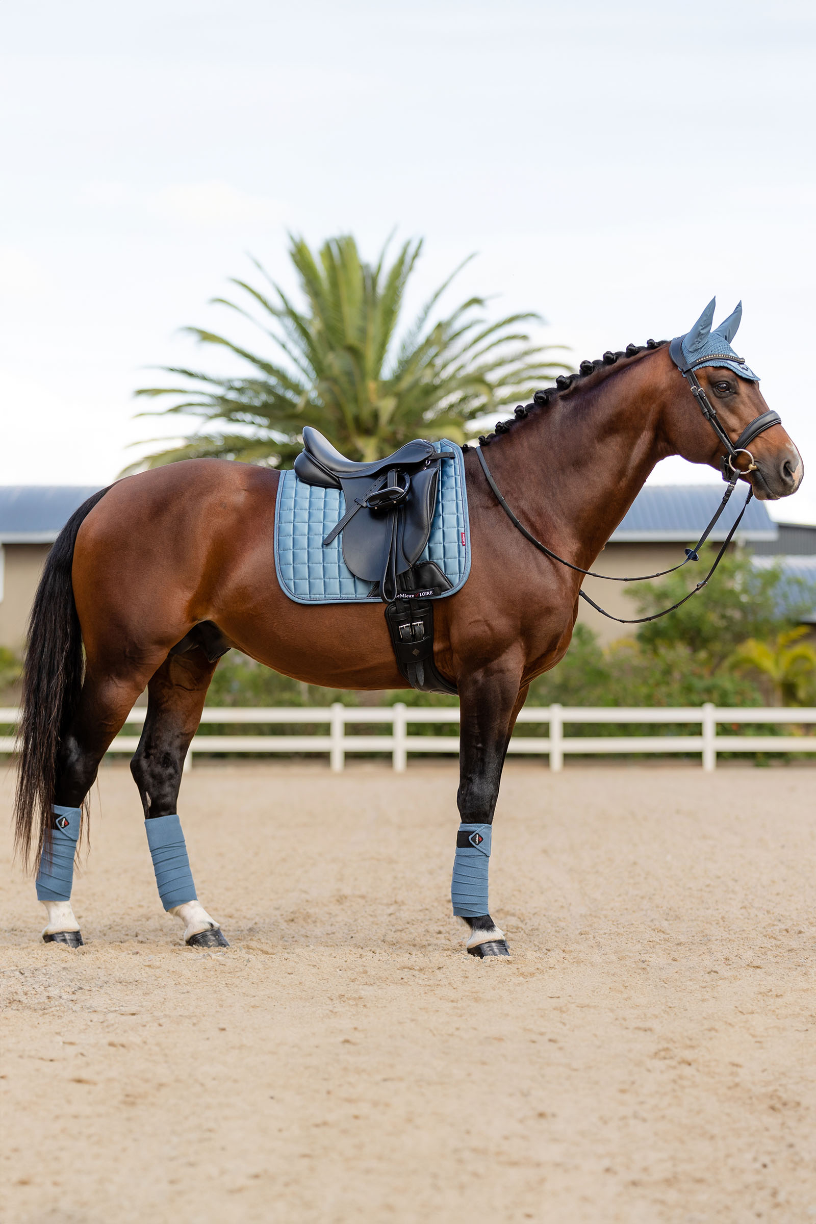 LeMieux Loire Memory Dressuurzadeldek