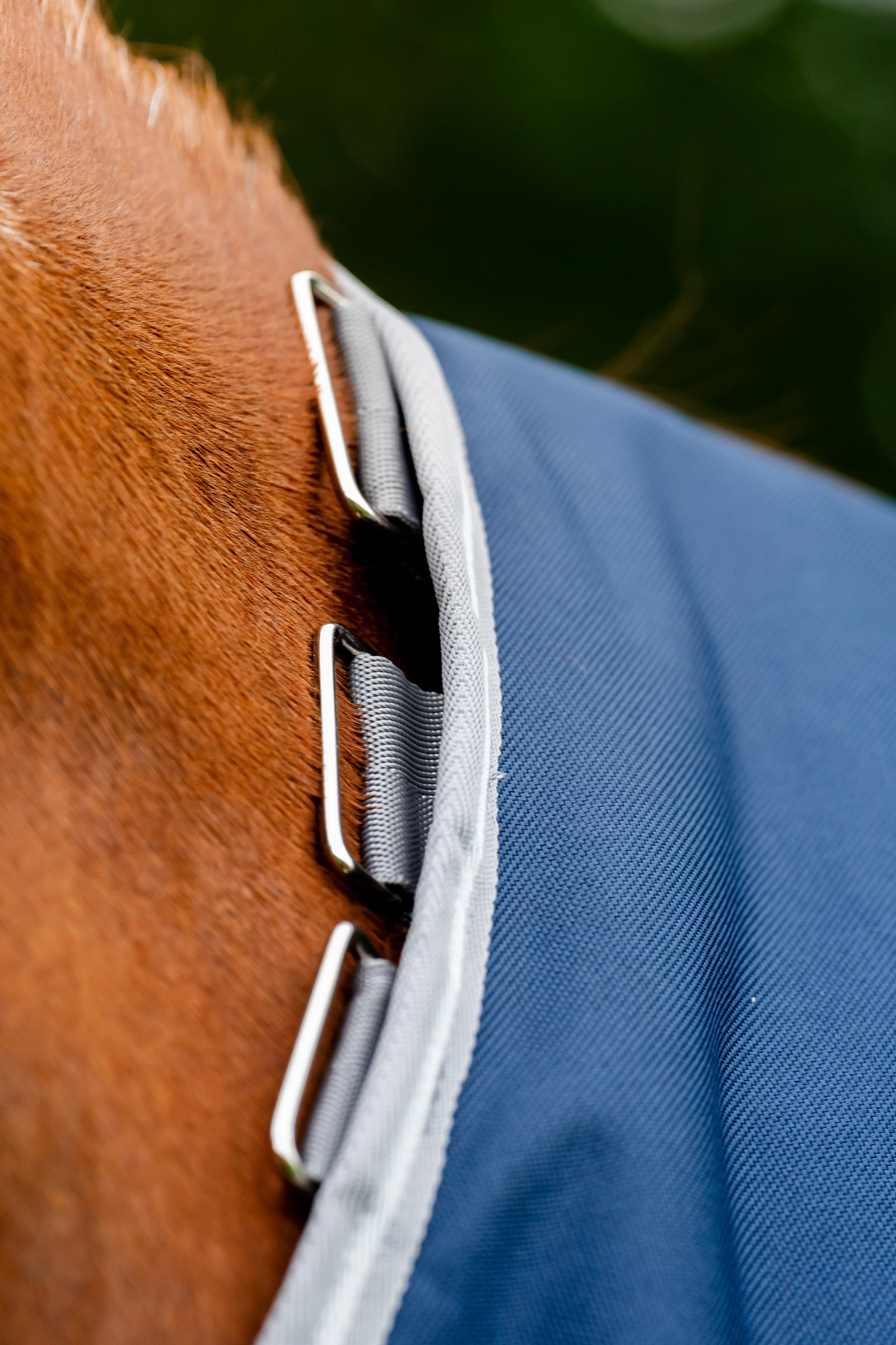 Horseware Amigo 1200D Plus regendeken, 250 g