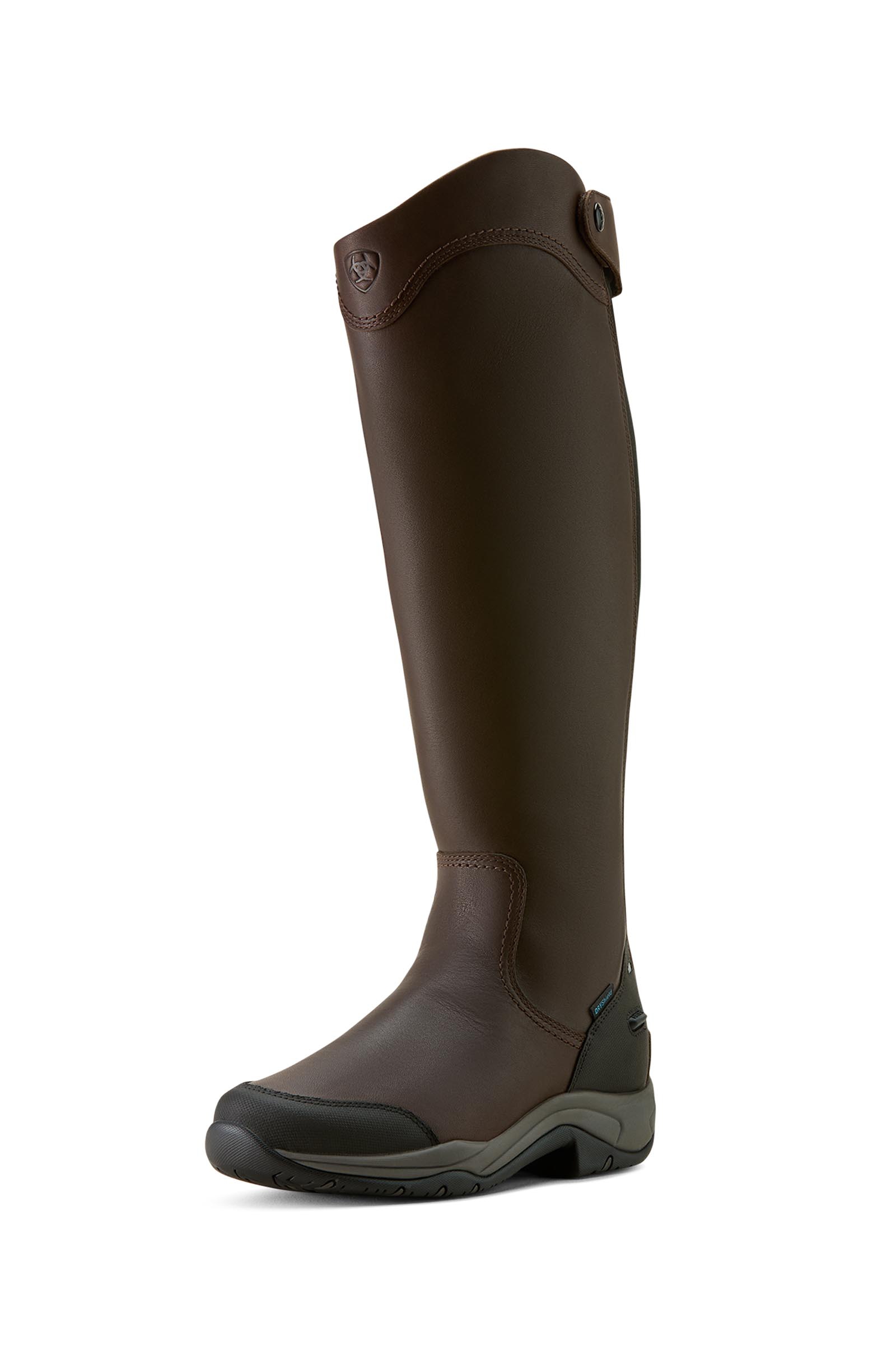 Dark Brown Ariat Telluride H2O dames hoge laarzen