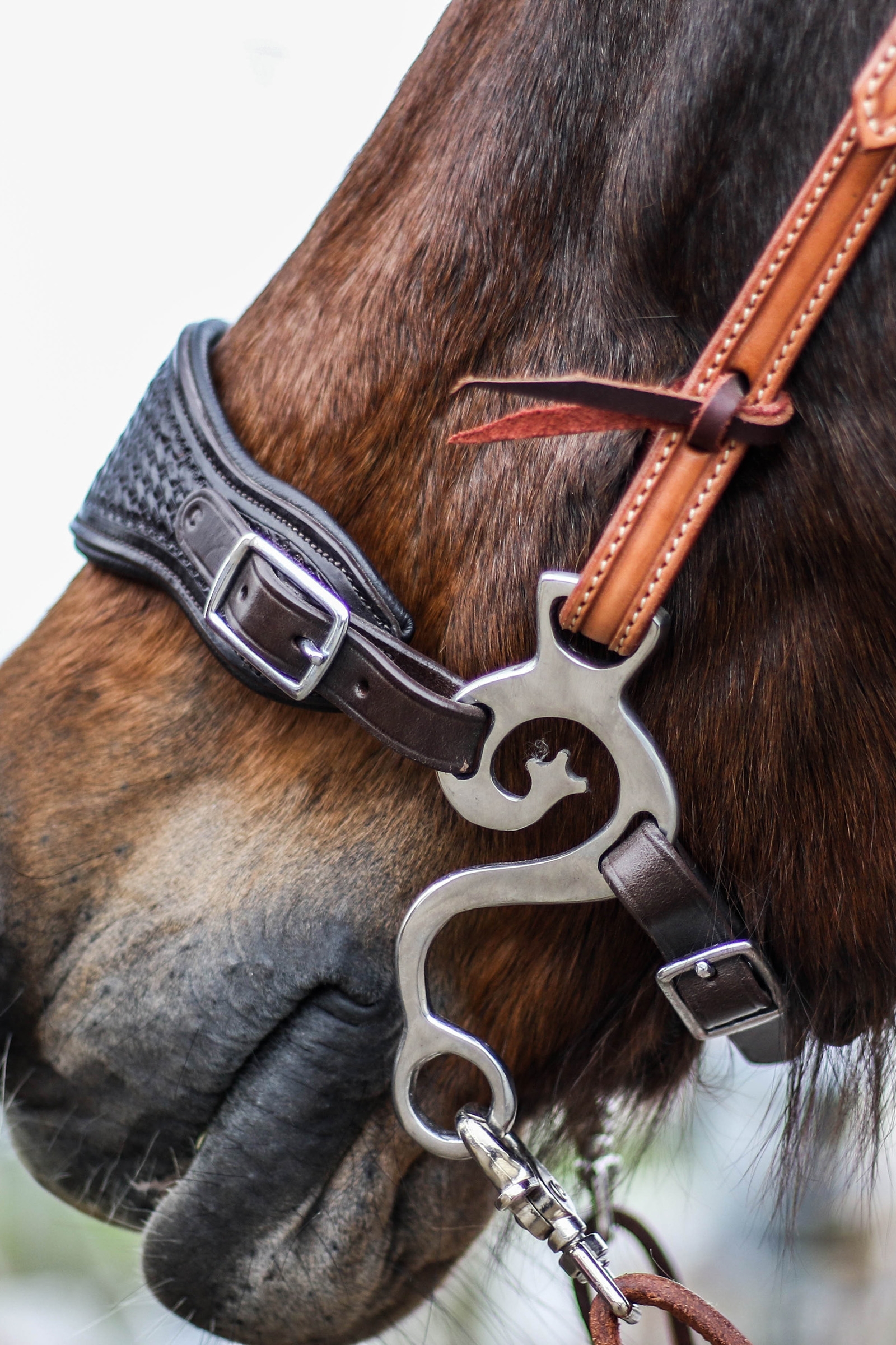 F.R.A. Freedom Riding Articles Music Hackamore SS Set, 140 mm