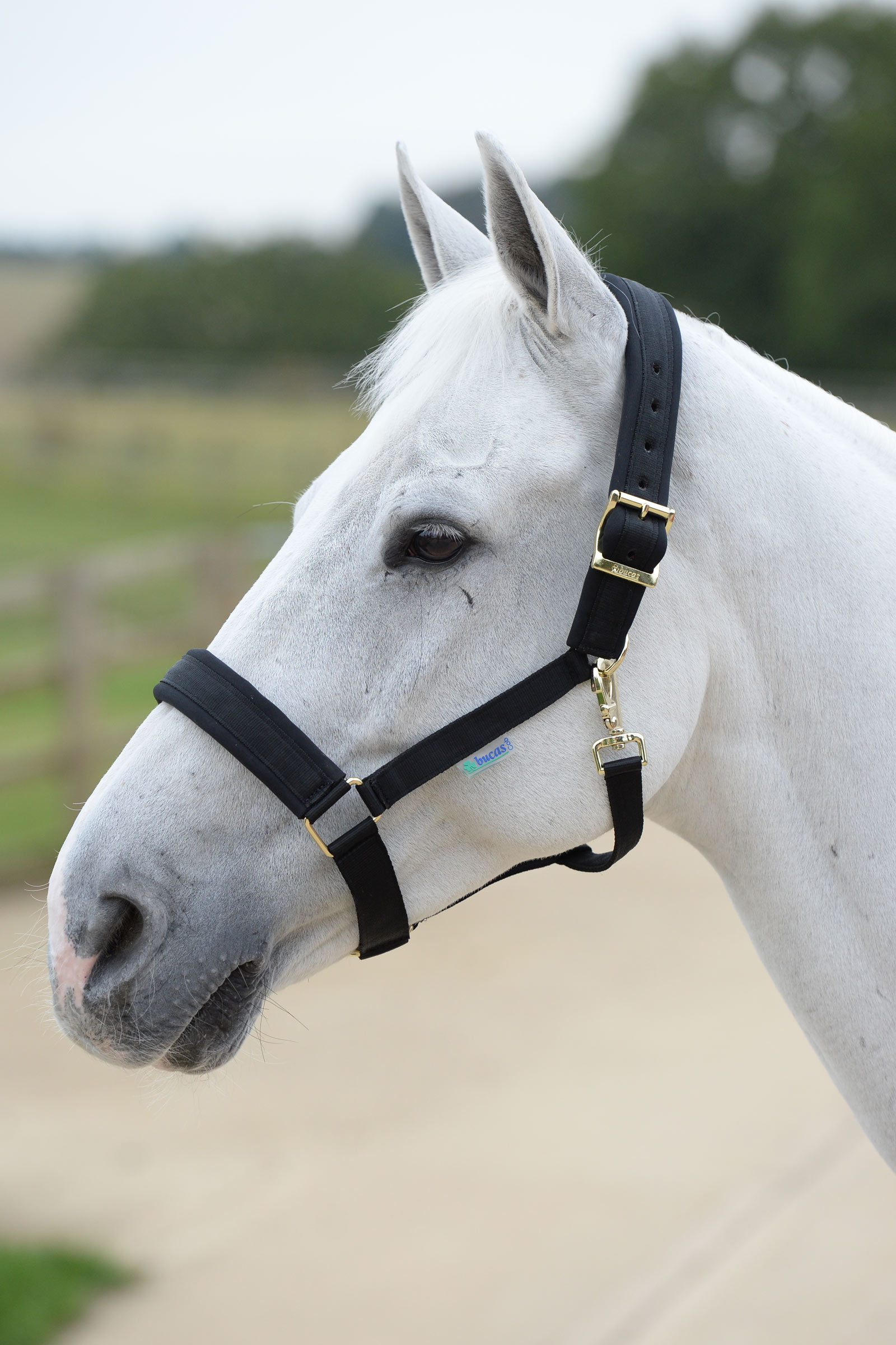 Bucas Comfort Halster