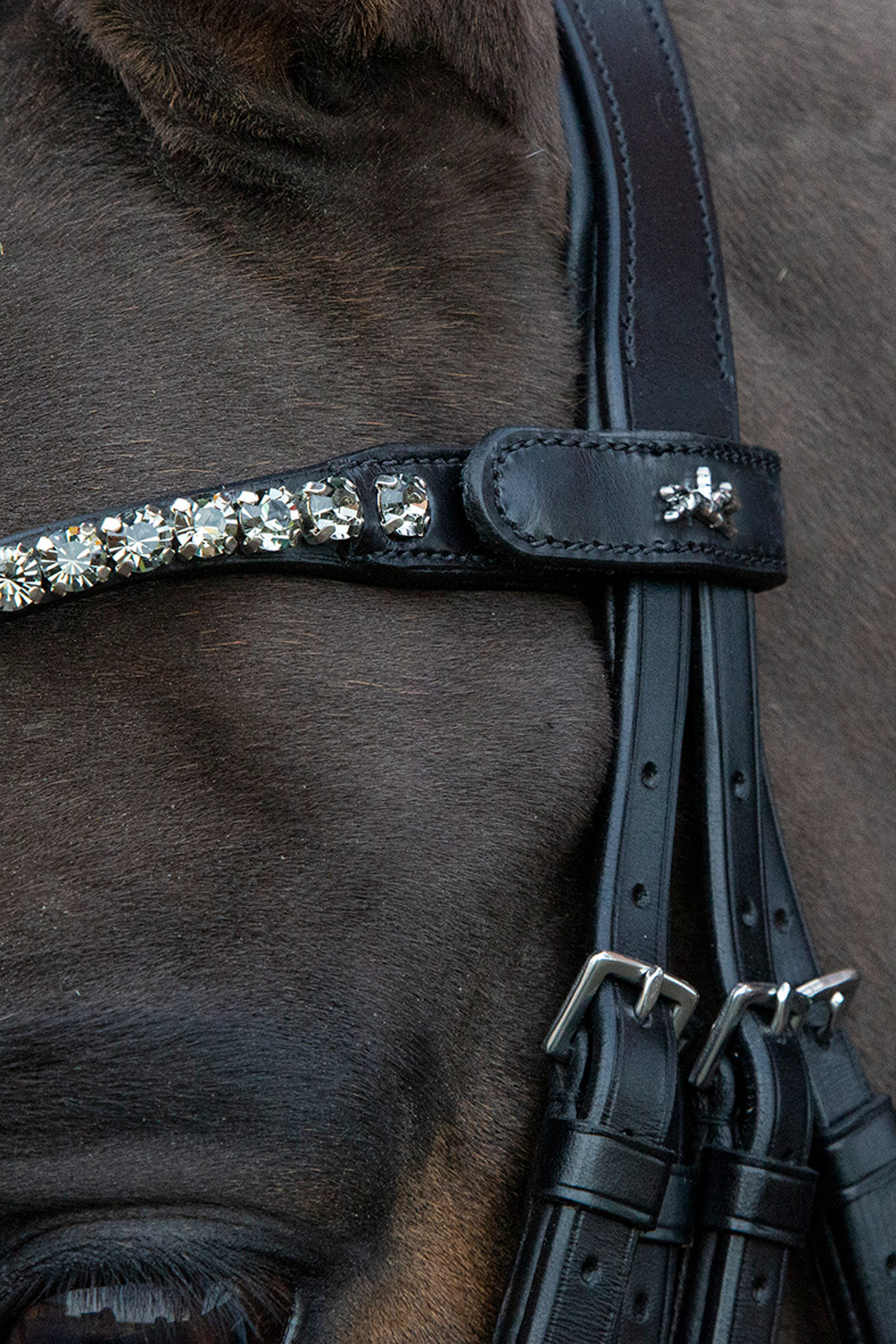 Schockemöhle Sports Milazzo Kandare