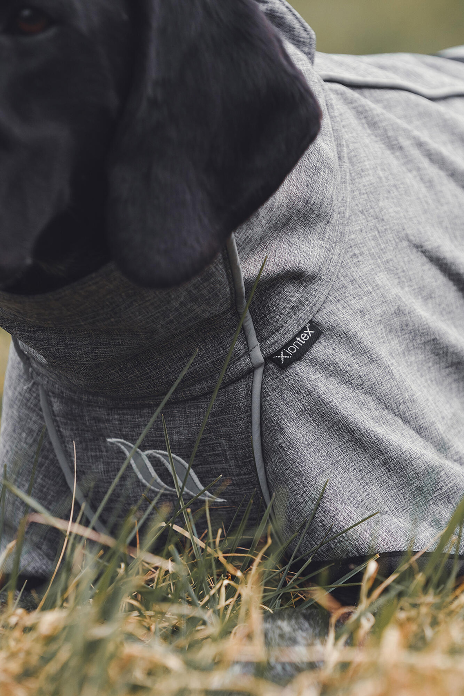 Back on Track Bark All-Round Dog Coat, 70-80cm