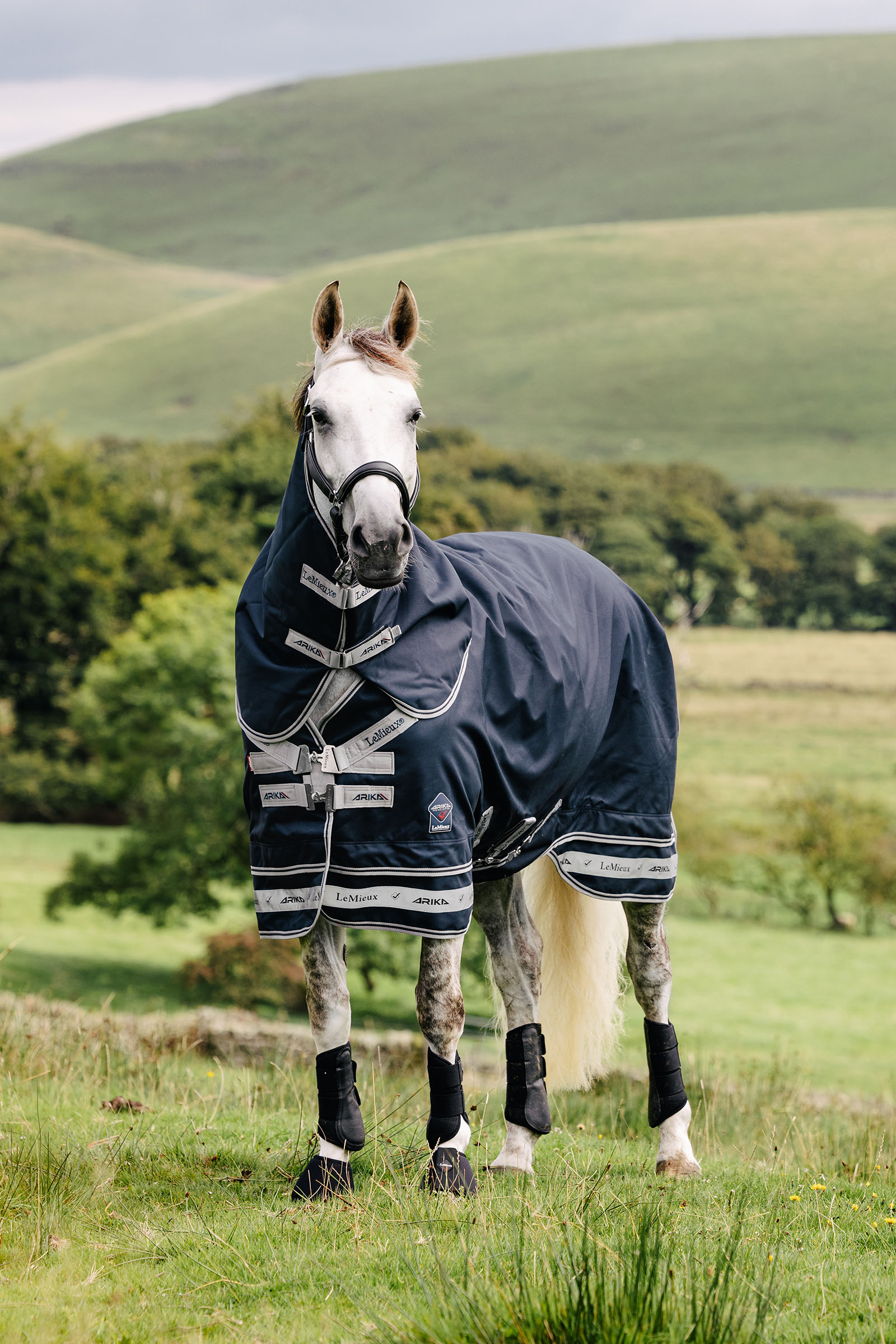 LeMieux Arika Storm-Tek deken 50g