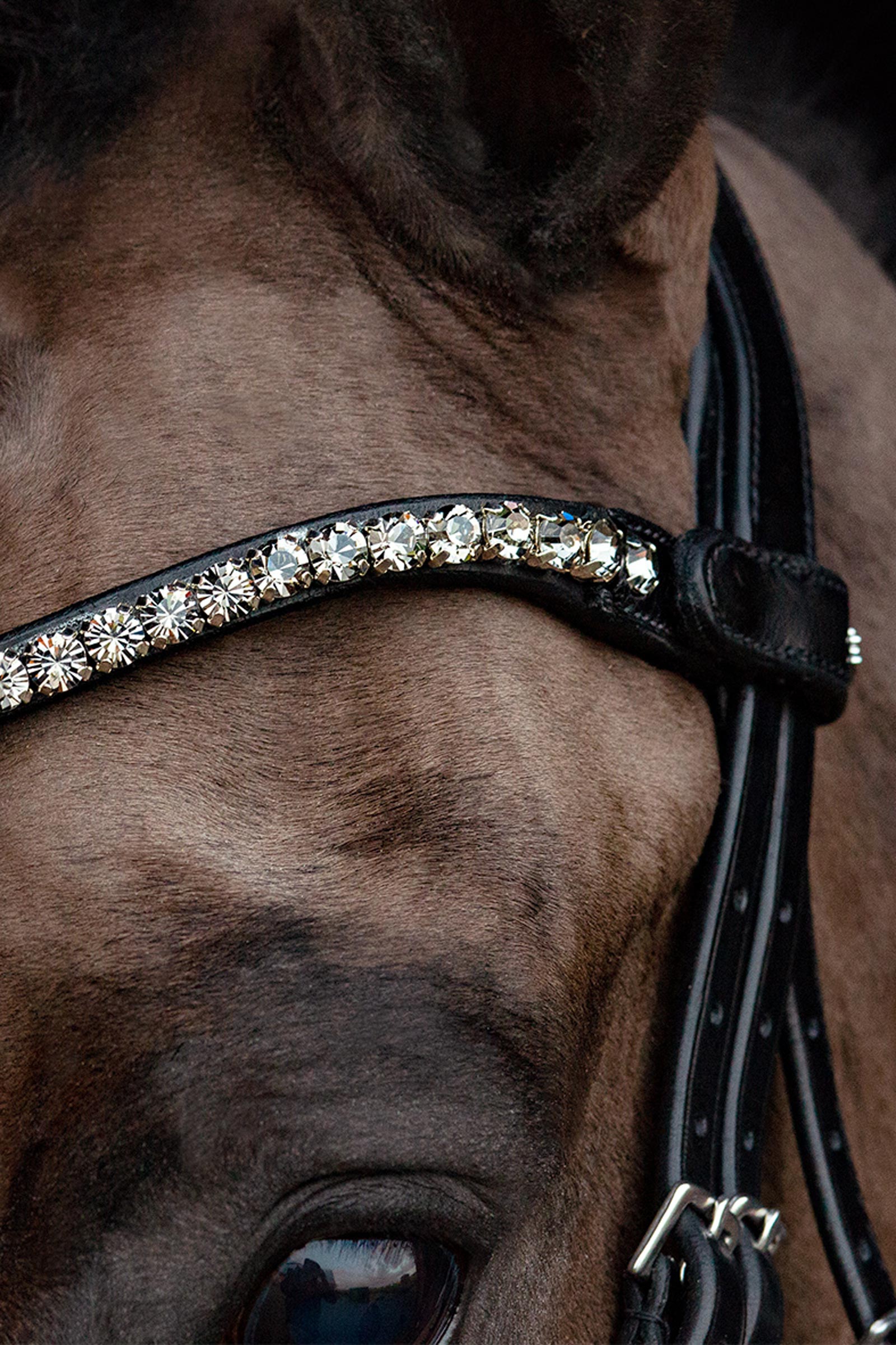 Schockemöhle Siena Hoofdstel