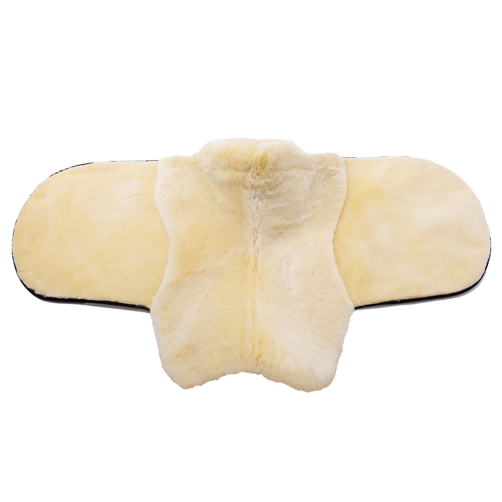 Christ Zadeldekje Speciaal, dressuur