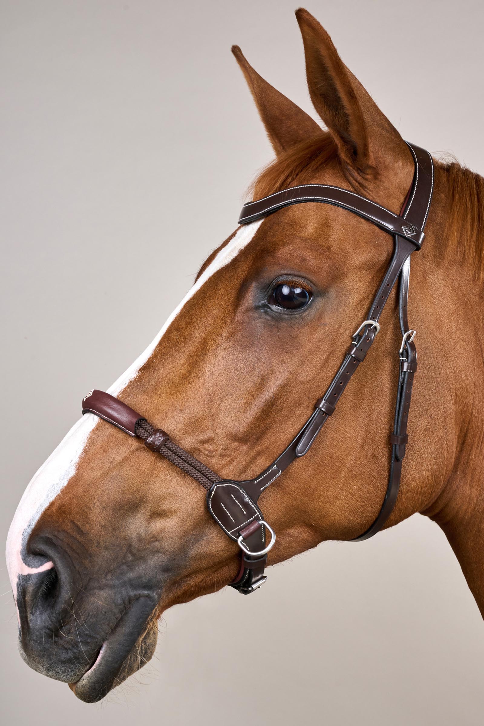 Dy'on Working bitloos hoofdstel  