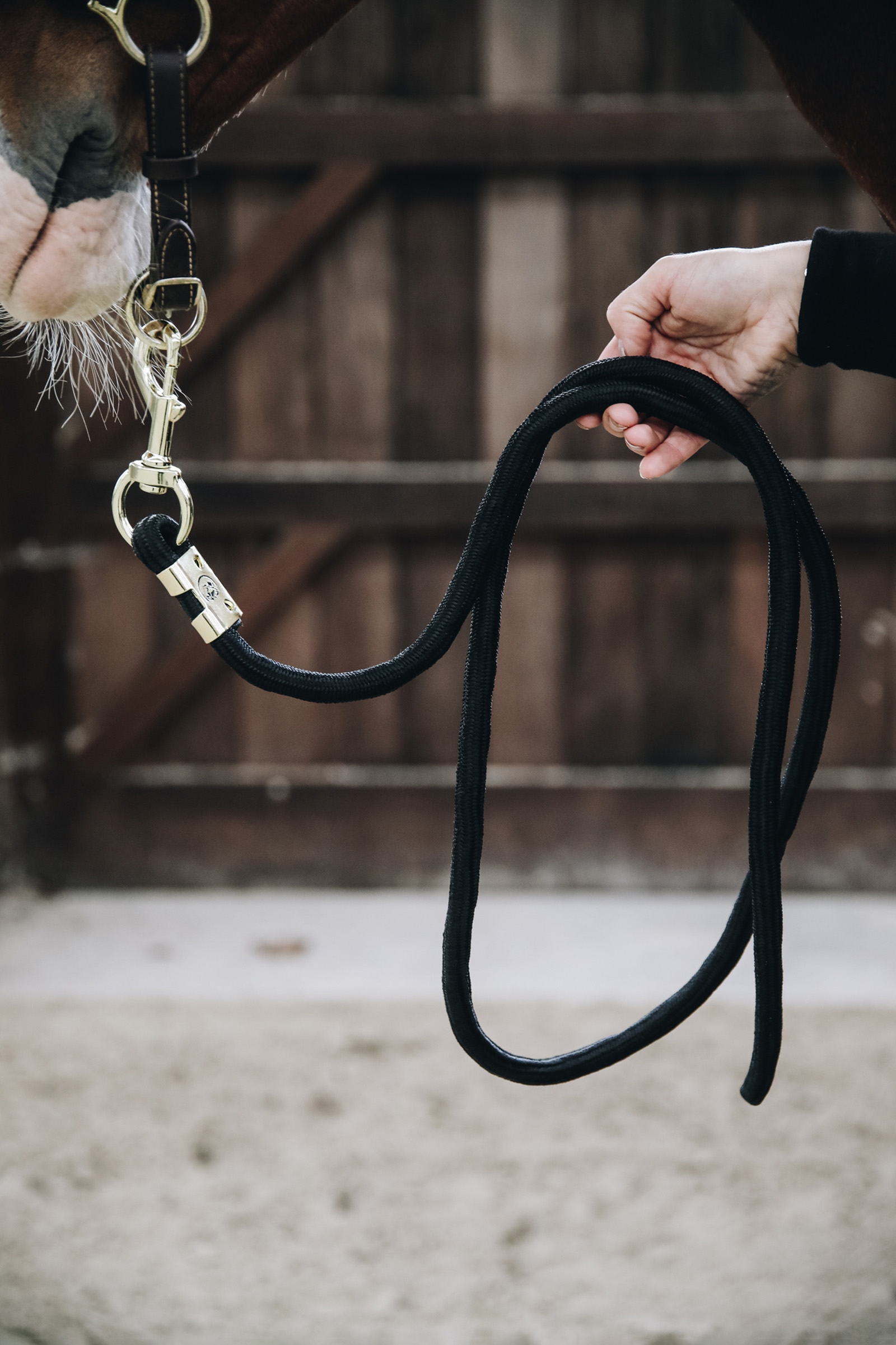 Kentucky Horsewear Lead rope basic 2m