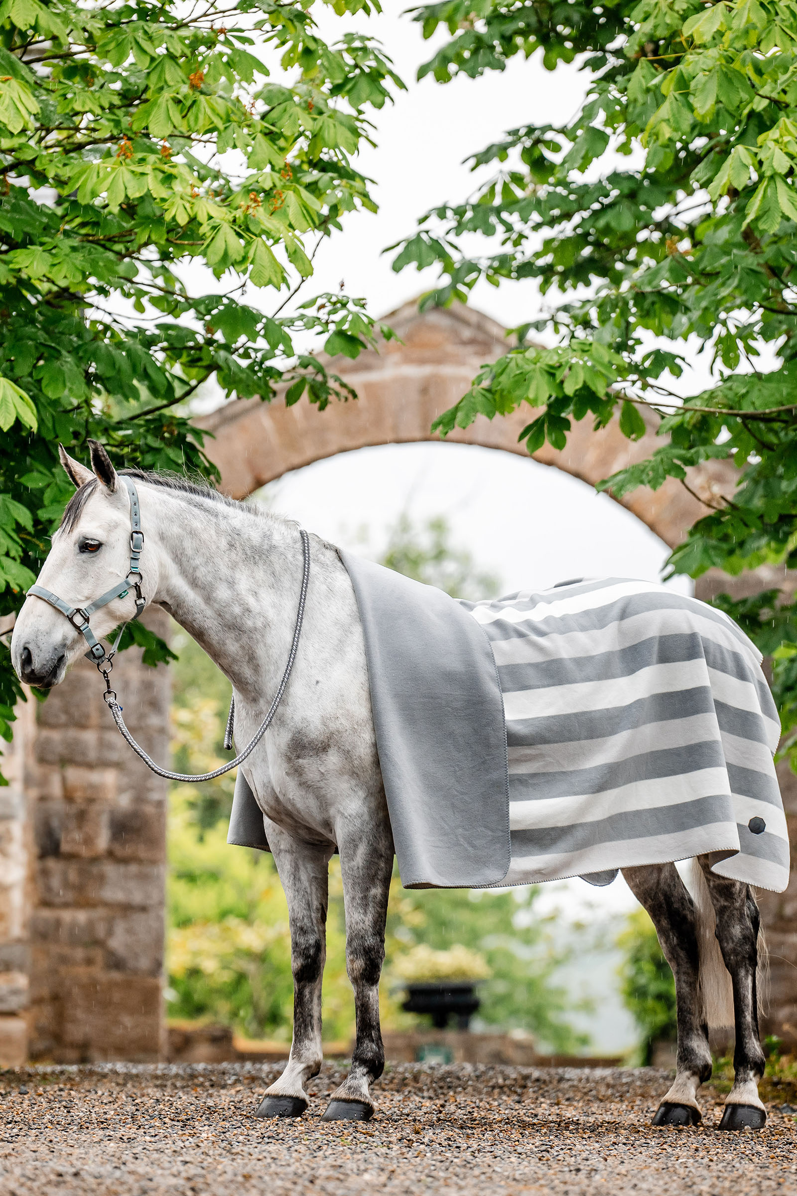 Horseware Newmarket Fleece Cooler deken (Square)