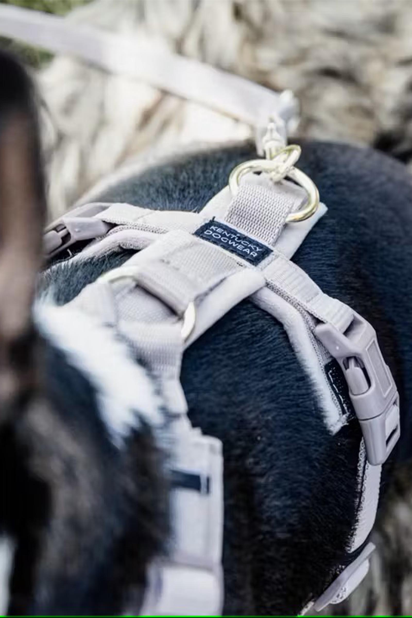 Kentucky Dogwear Active Velvet Hondenharnas 