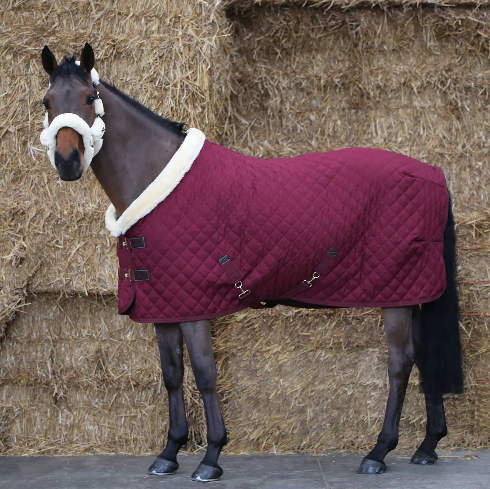 Dark Red Kentucky Horsewear Showdeken, 160 gram