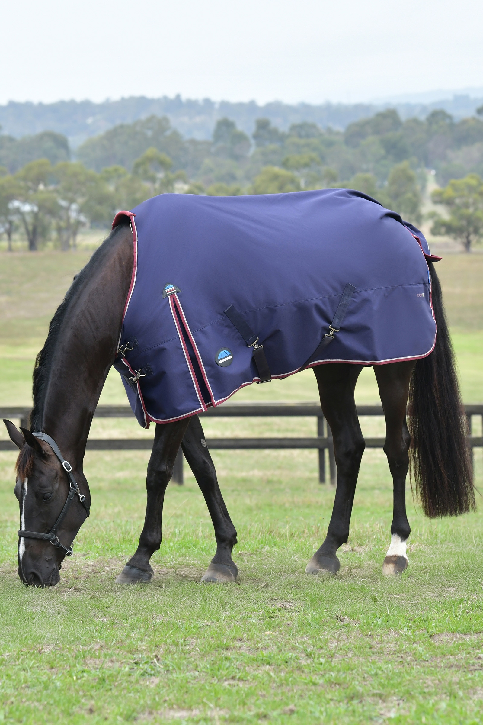 Weatherbeeta ComFiTec Essential Turnout Standard Neck 0G