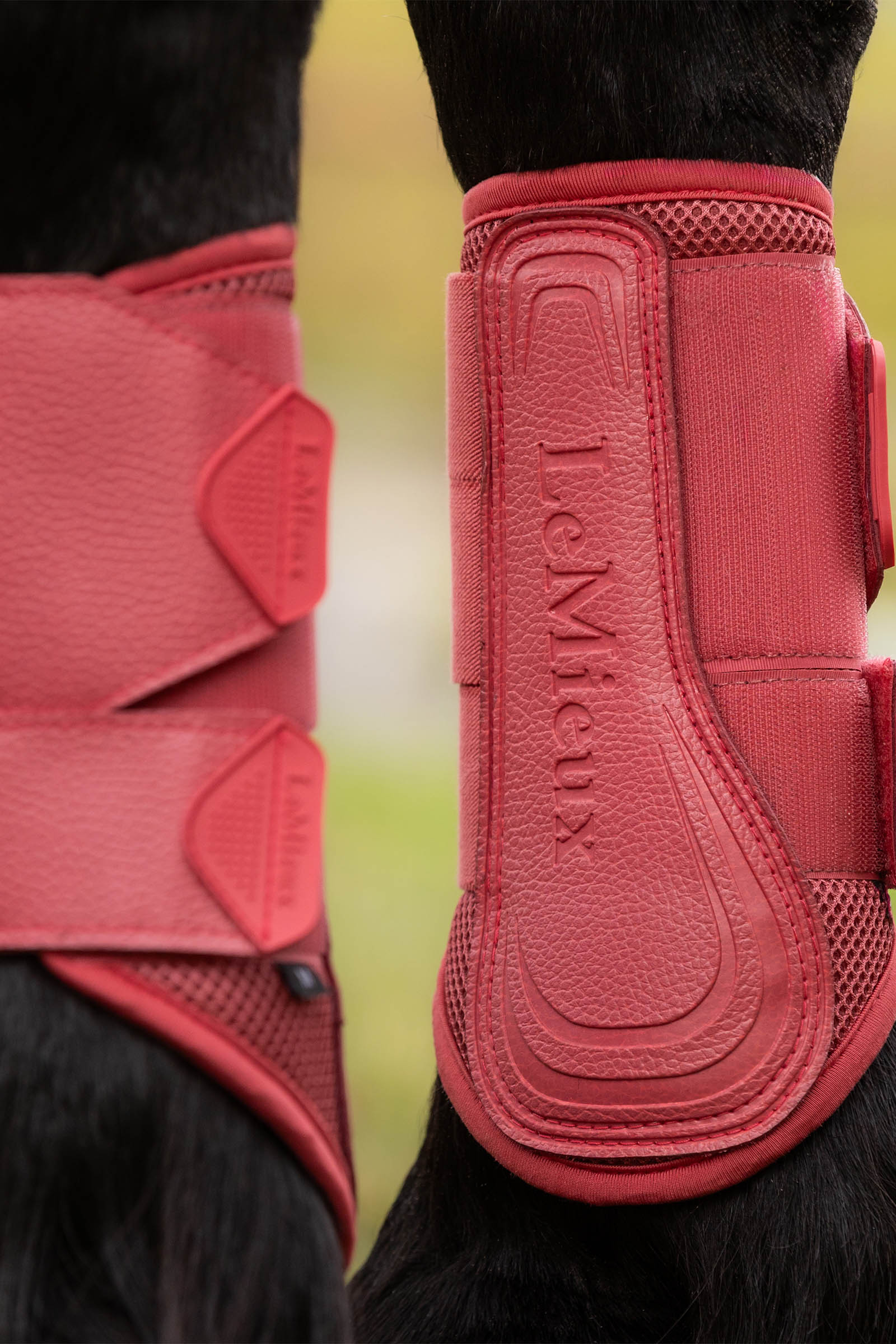 LeMieux Arika Mesh peesbeschermers