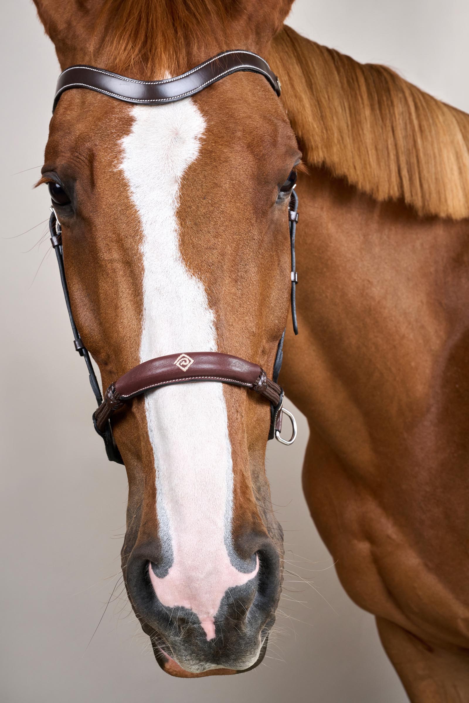 Dy'on Working bitloos hoofdstel  