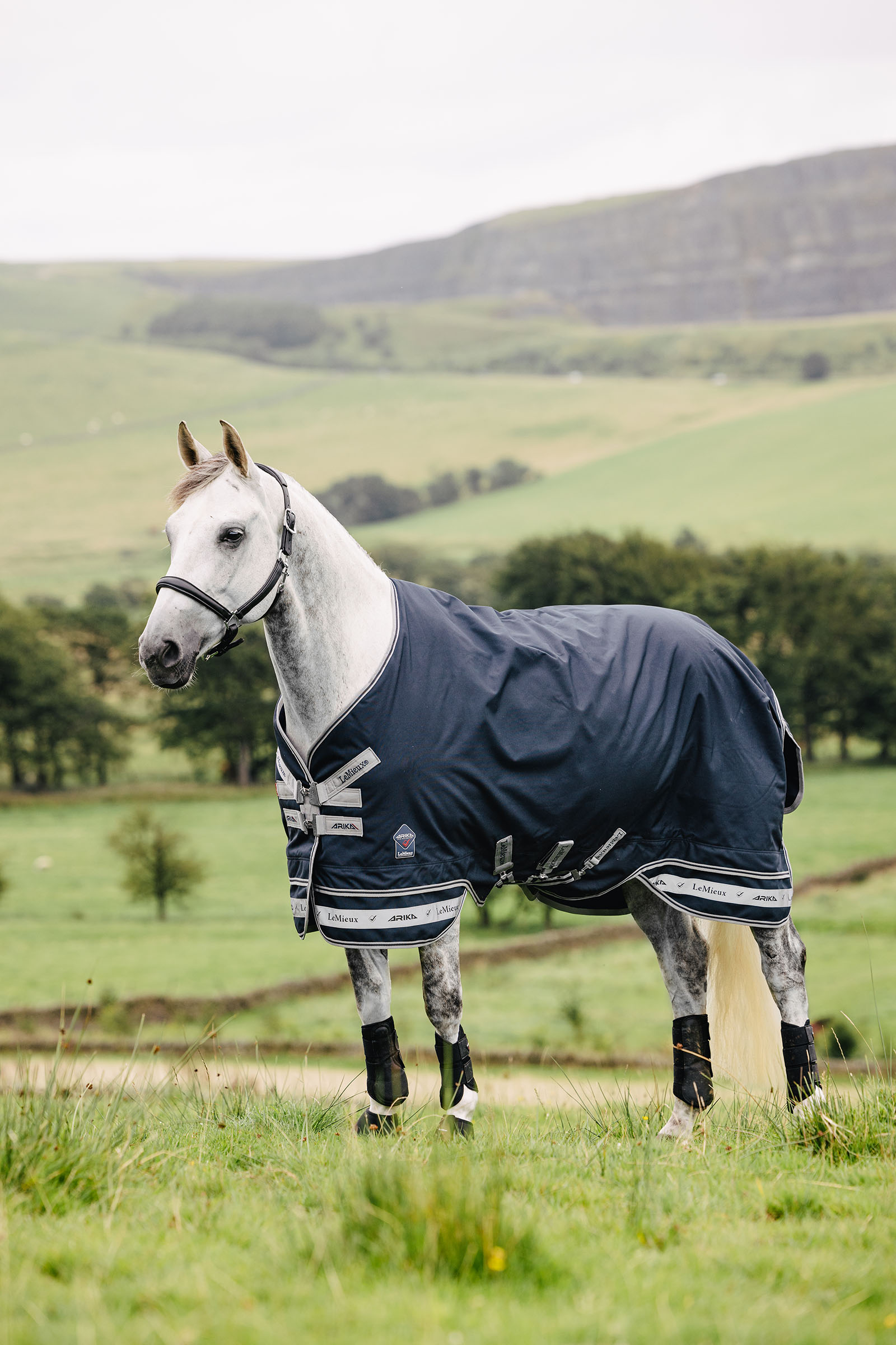 LeMieux Arika Storm-Tek deken 50g