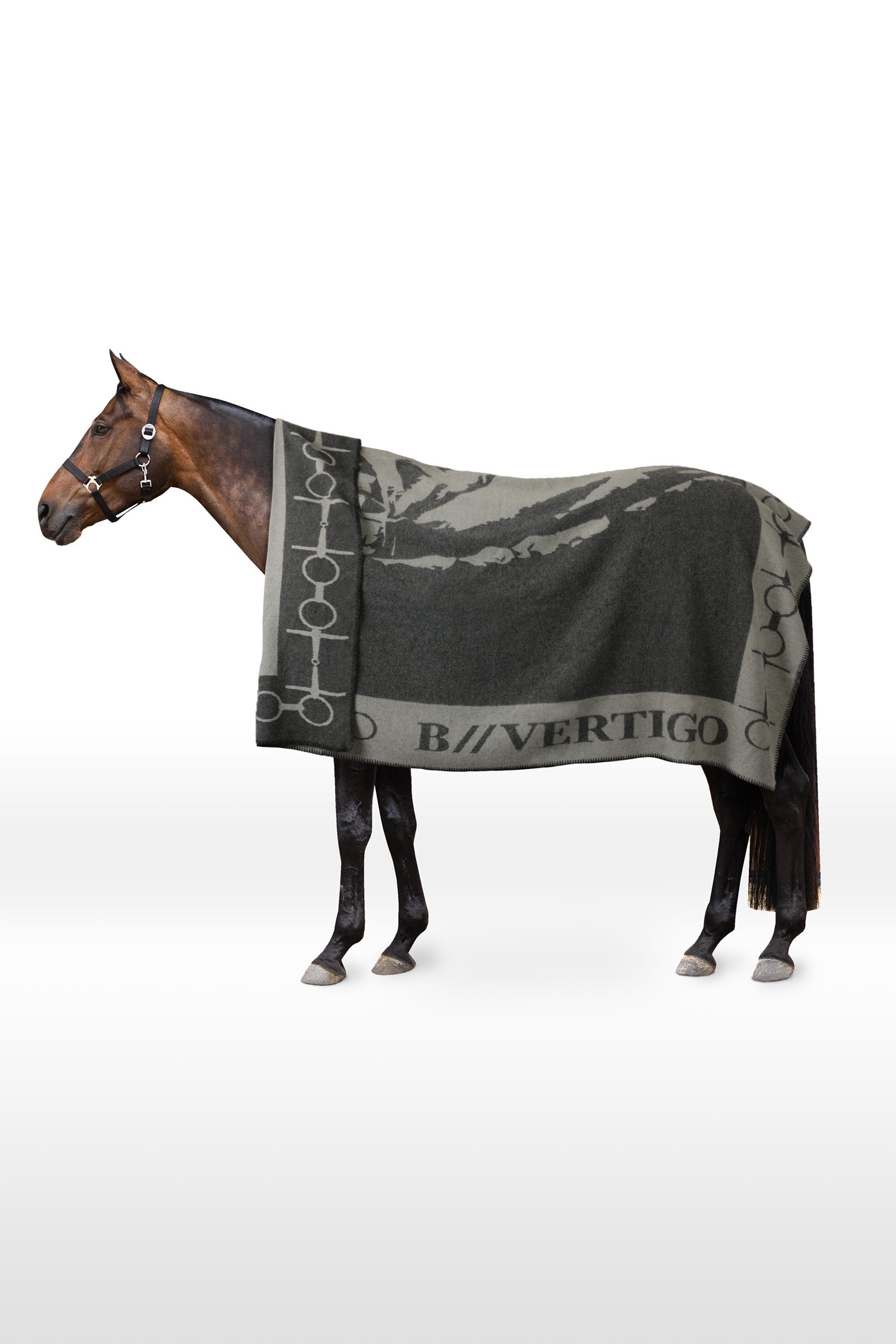 Black beauty B Vertigo Gemusterde deken met paard en bit