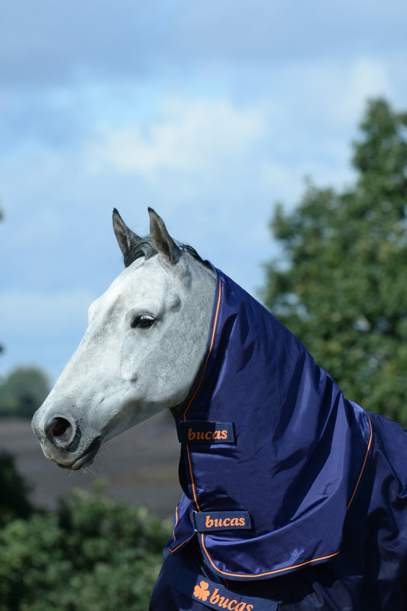 Bucas Therapy halsdeel