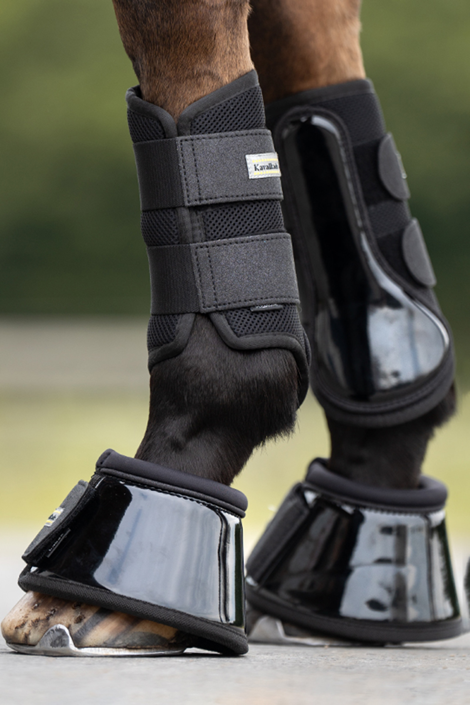 Black Kavalkade Anatomic Star Mesh Brushing Boots (1Pair)