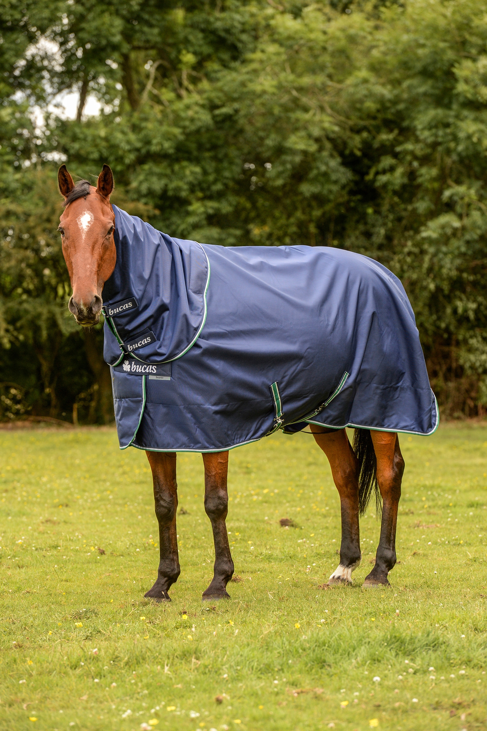 Bucas Smartex Rain, pony