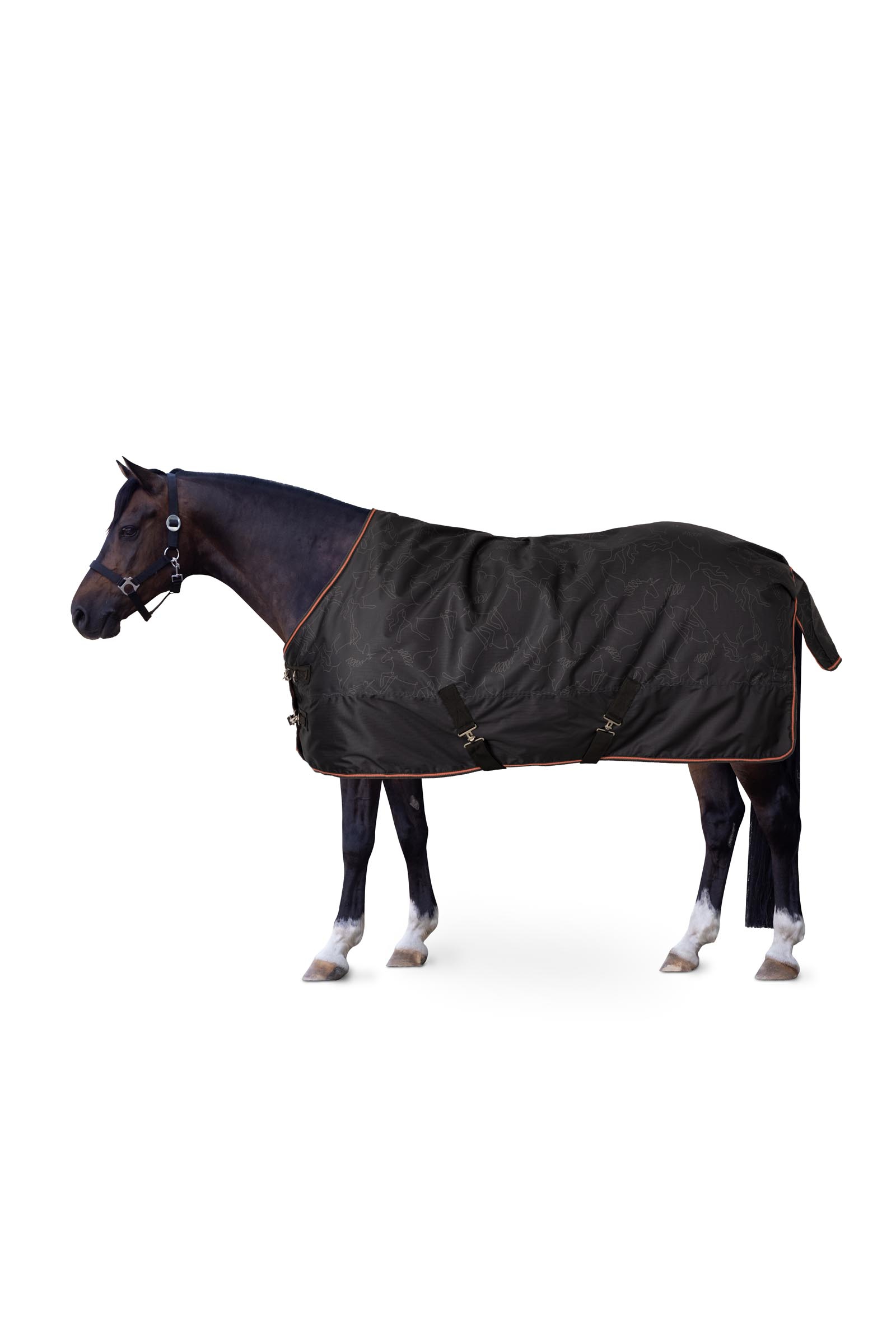 Horze Pegasus pony regendeken 200 g/m&sup2;