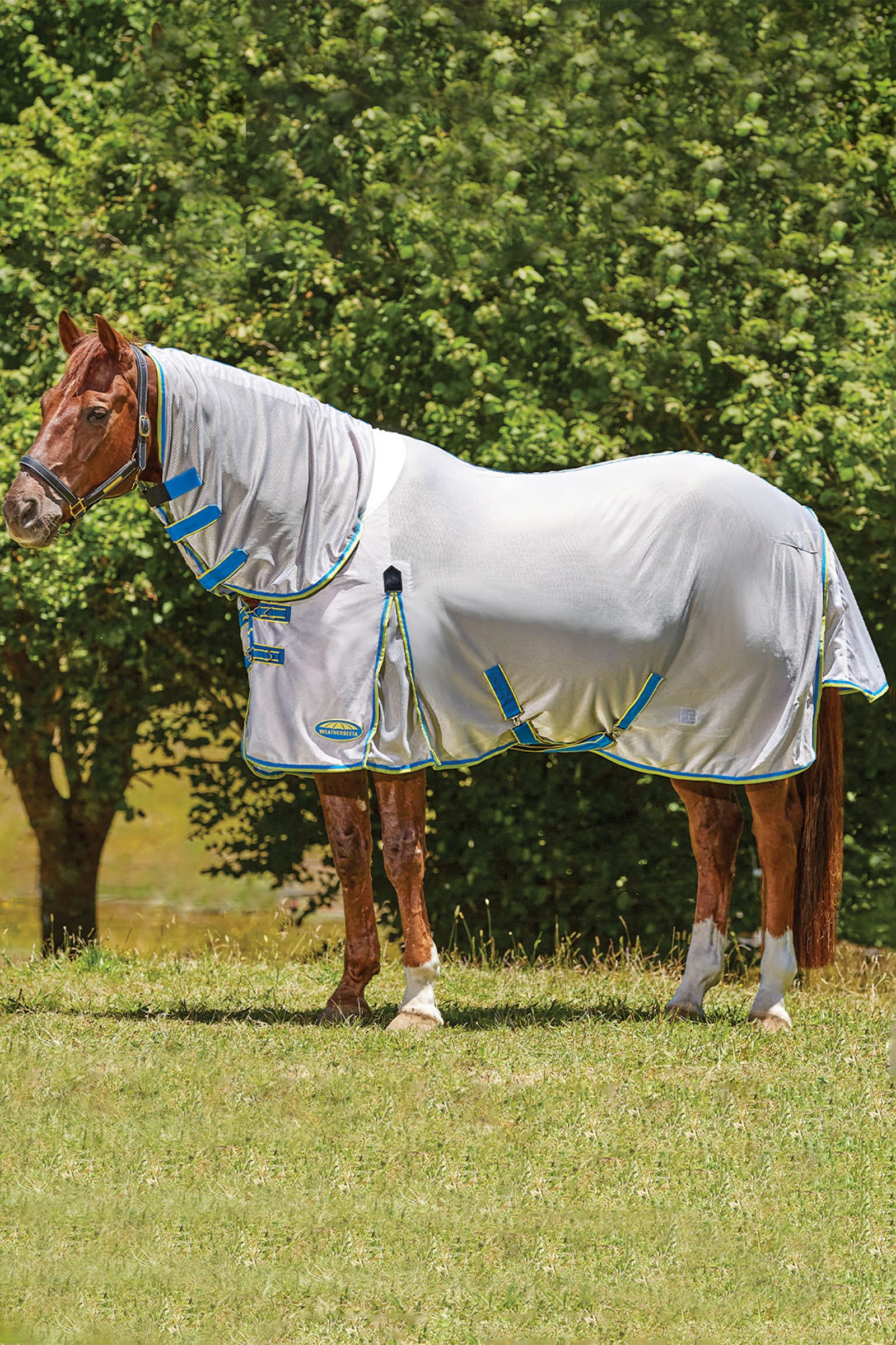 Weatherbeeta Comfitec Zephyr Plus Mesh Combo Vliegendeken