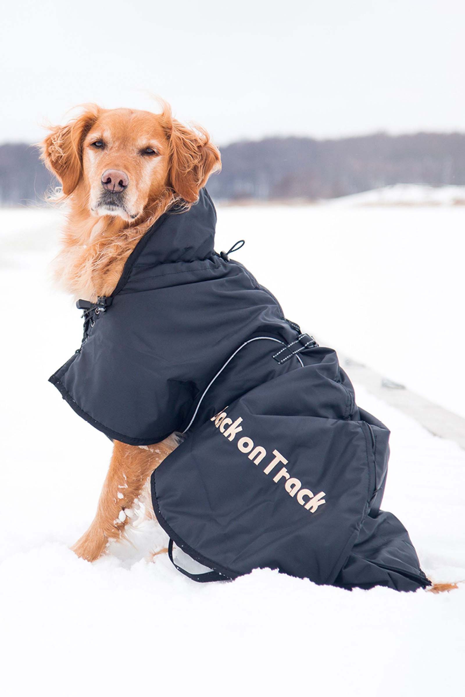 Back on Track Hondendeken (size 21-40)